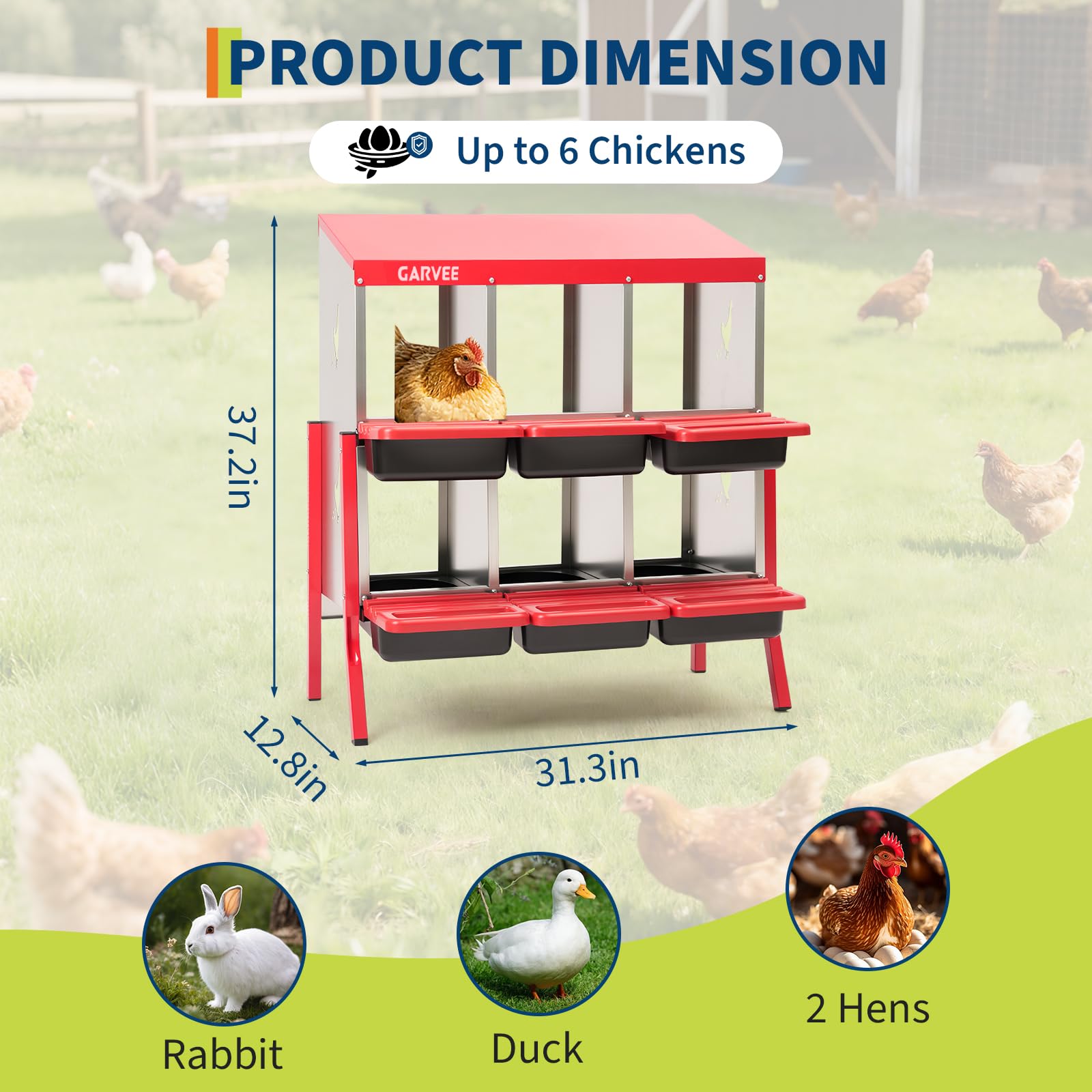 GarveeLife CLJ-2K74VR-B5UP2GBG Chicken-Coops-Rabbit-Hutches - View #2