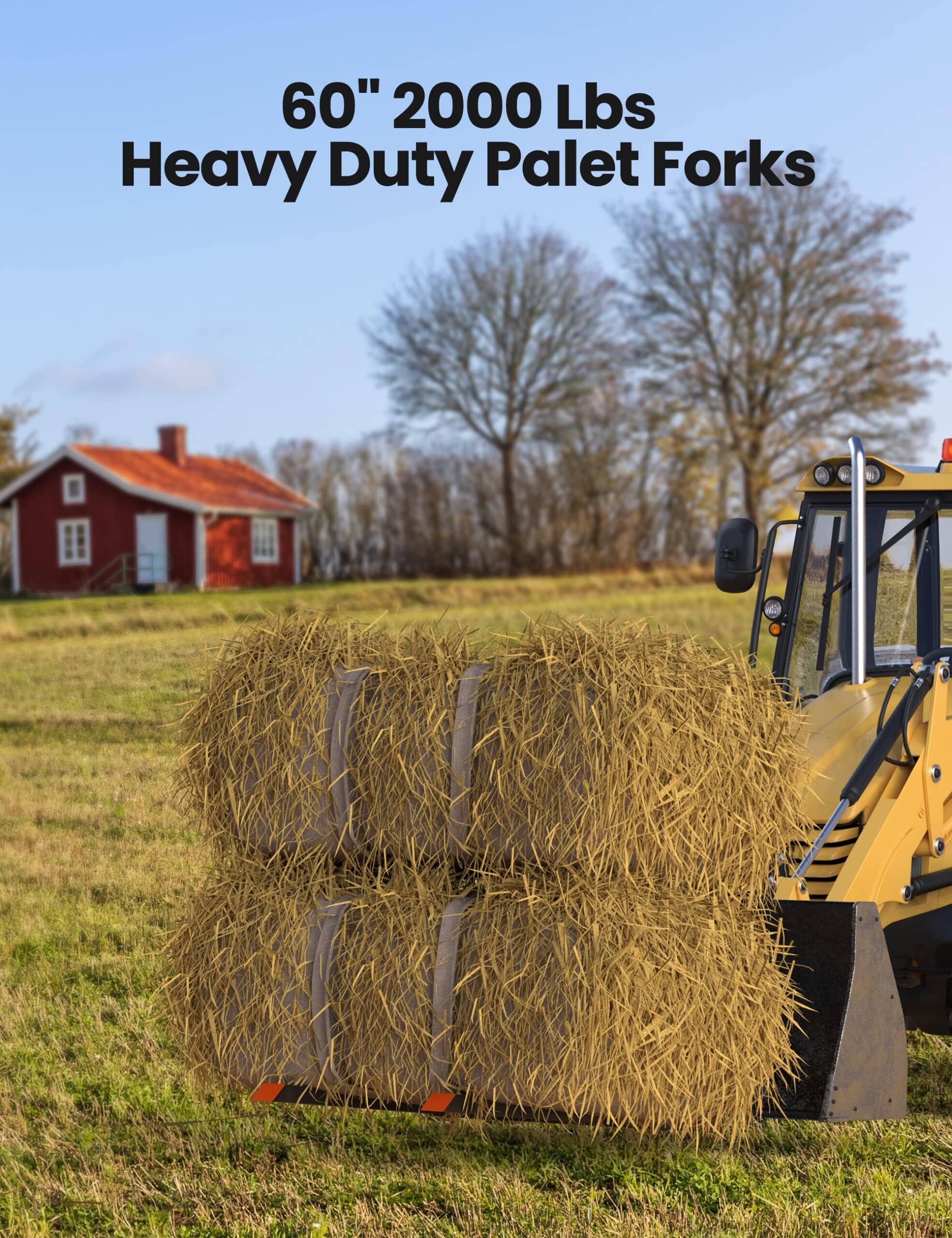 Encore Beets NOVA-HKXWZYQ3K2B forks - View #3