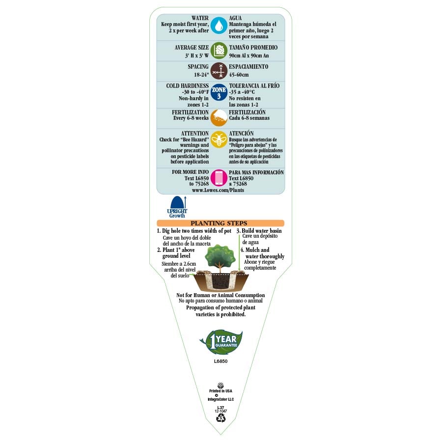 Lowe's 008914008808 perennials - View #3