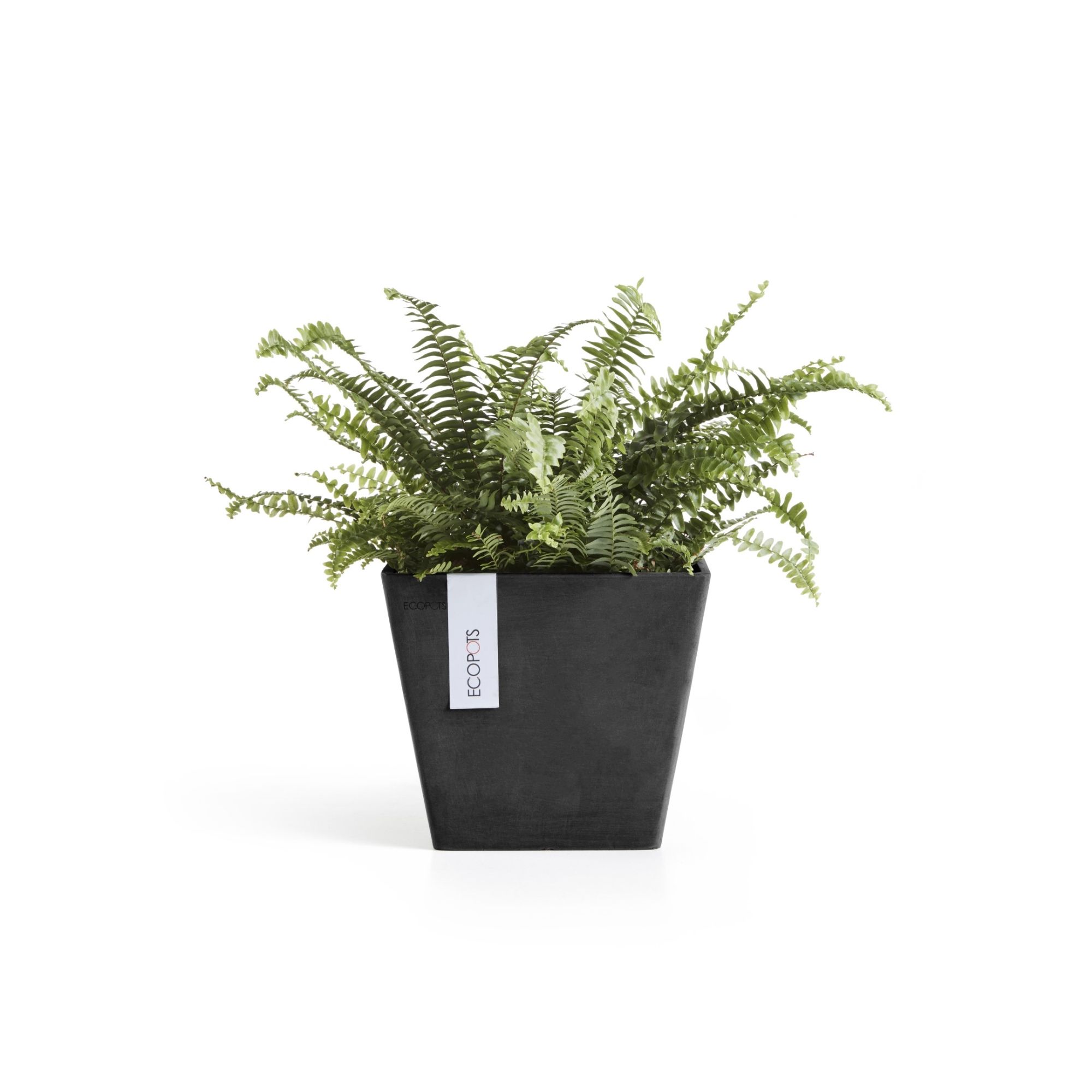 ECOPOTS 5411942740667 Planter-Window-Box - View #5