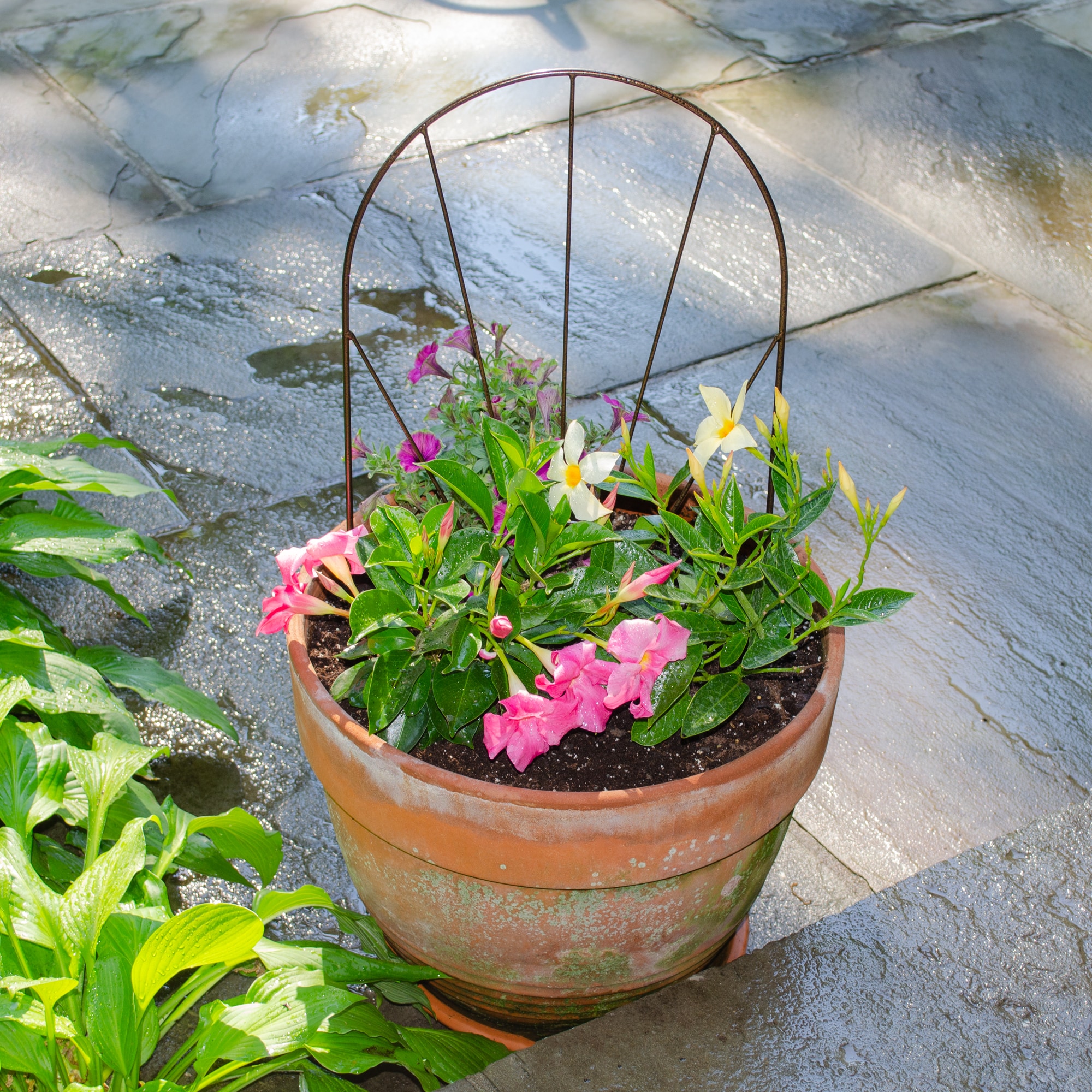 Style Selections 841125TL Garden-Trellis - View #3