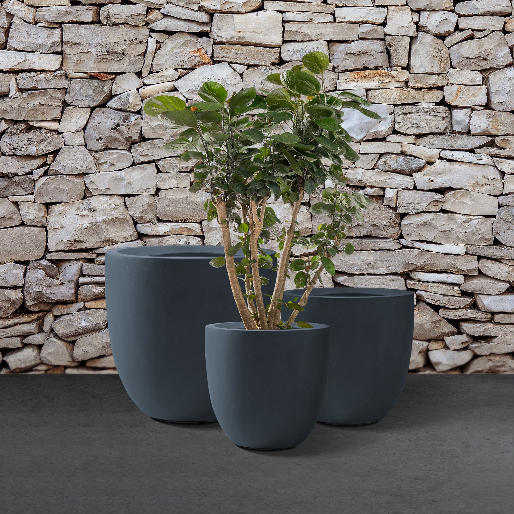 KANTE RC0152BCD-C60121 Planter-Window-Box - View #6
