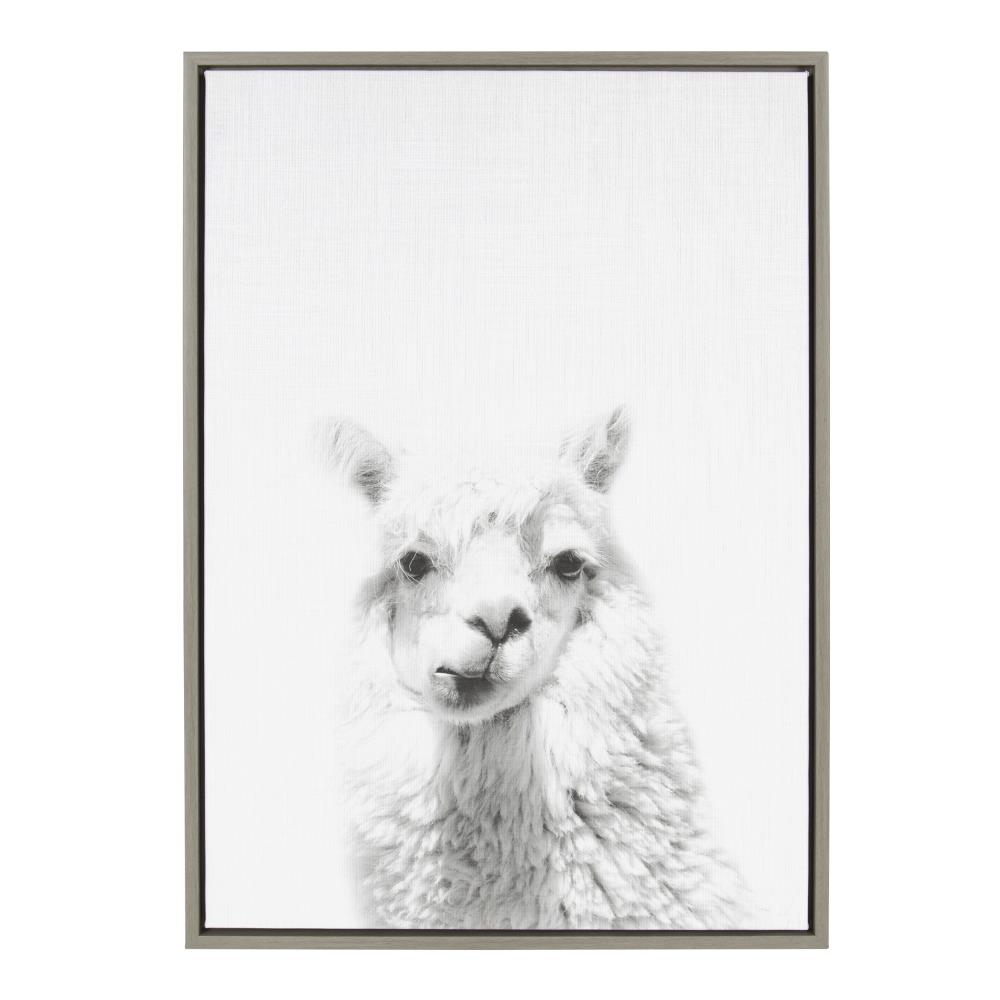 Kate and Laurel 212636 Alpaca Simon Te Tai Gray Plastic Framed 33.13-Inches H x 23.13-Inches W Animals Canvas Print