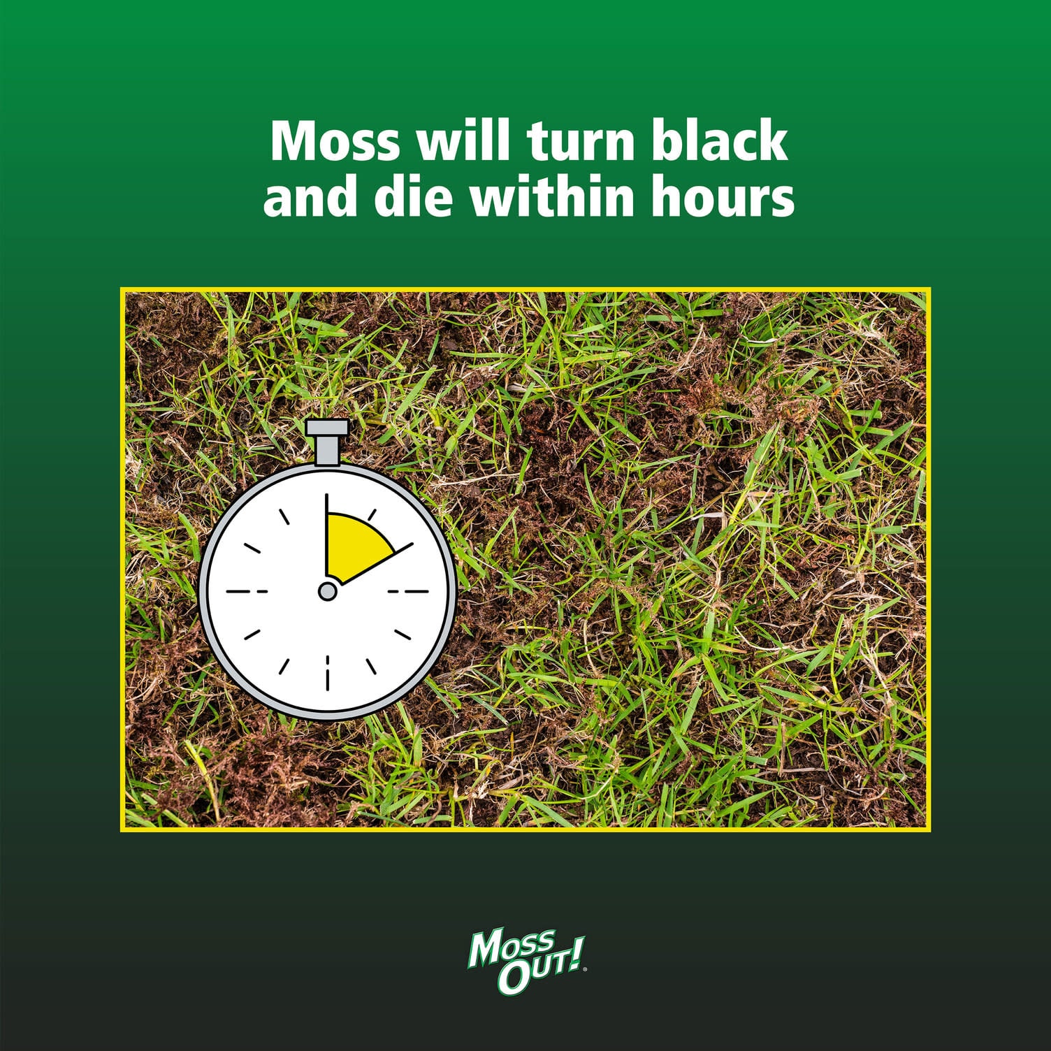 Moss Out! 7062461524 Moss-Algae-Fungus-Control - View #6