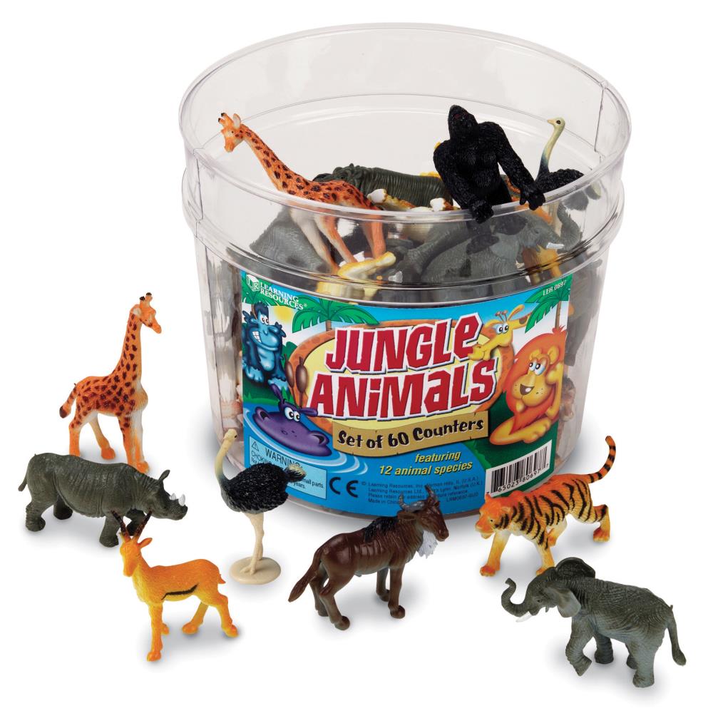 Learning Resources LER0697 Preschool