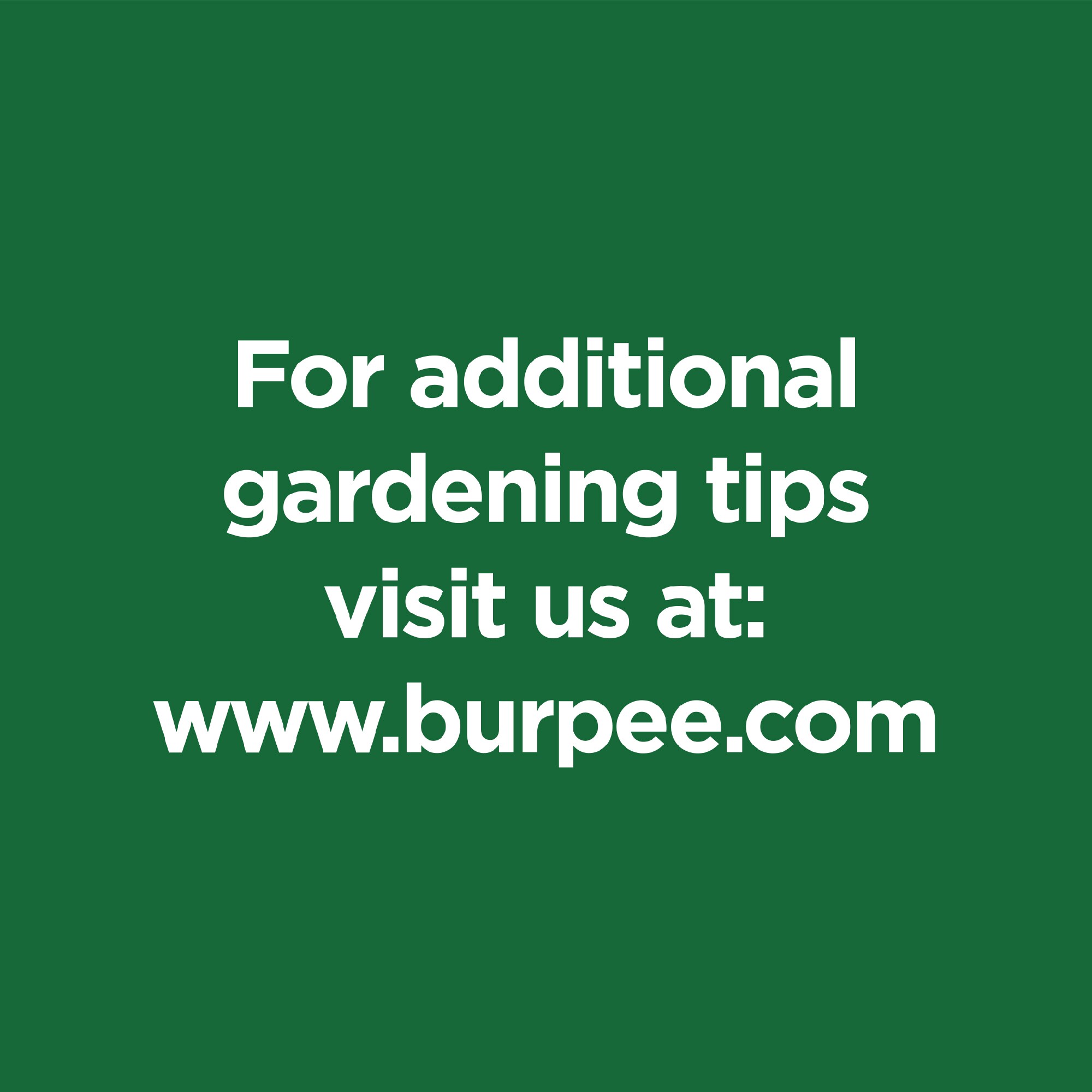 Burpee DCBP8PM4 Garden-Soil-Soil-Amendments - View #9