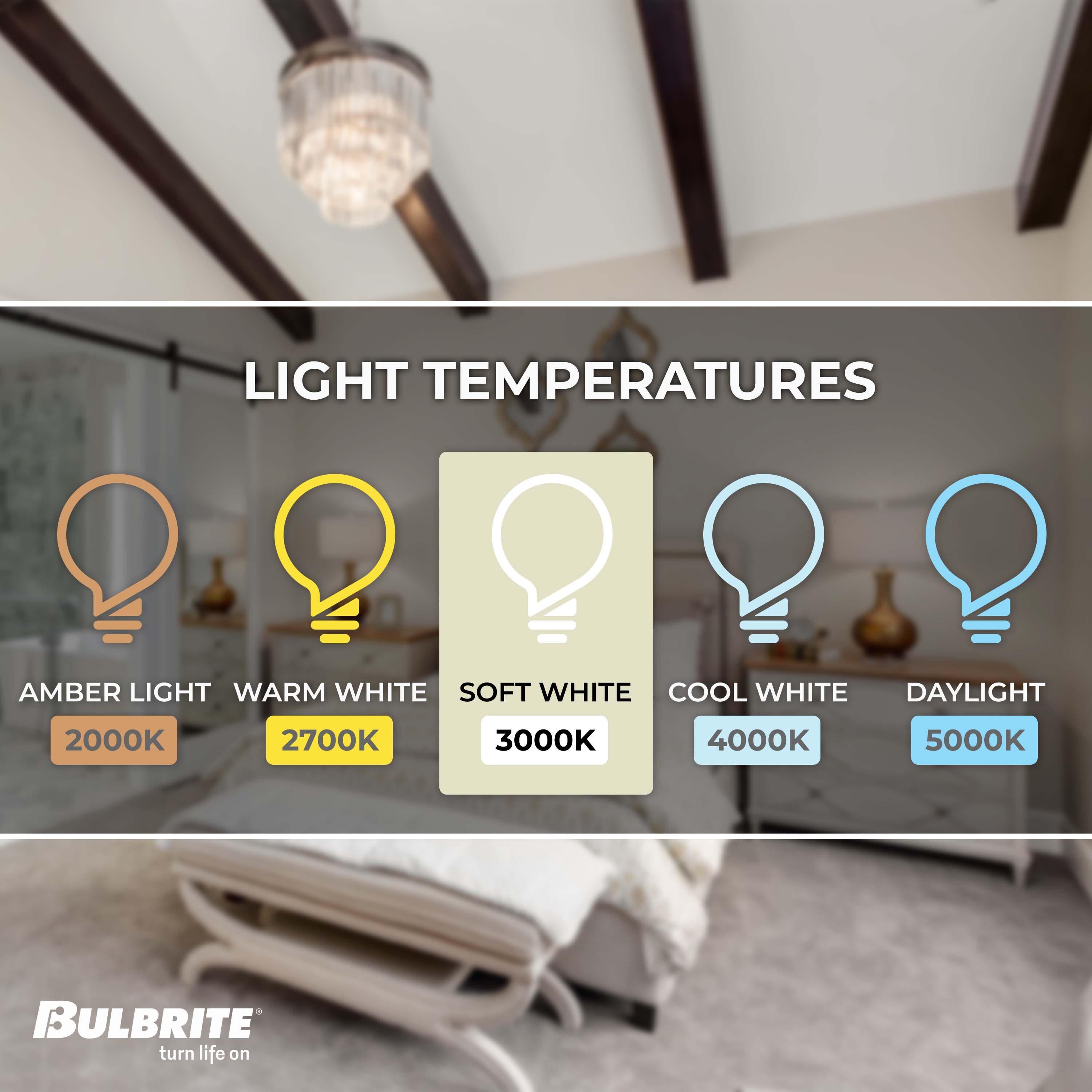 Bulbrite 862772 Dec-Led-Light-Bulbs - View #3
