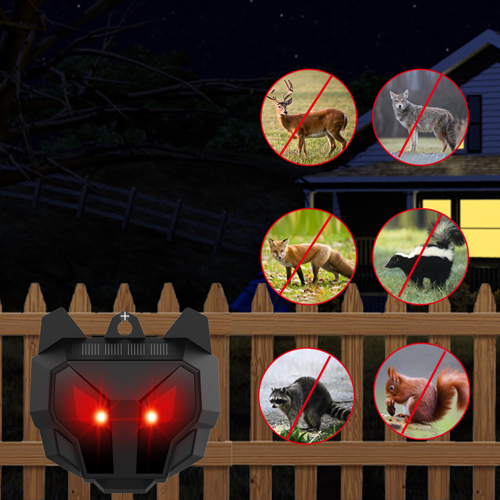 Gaierptone CRXMQ1GOQLZ Animal-Rodent-Control - View #9