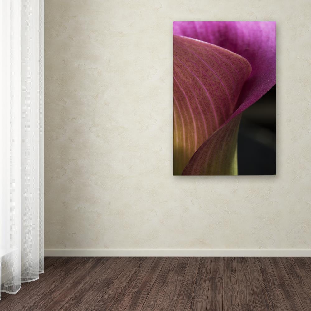 Trademark Fine Art KS01148-C1219GG Wall-Art - View #3