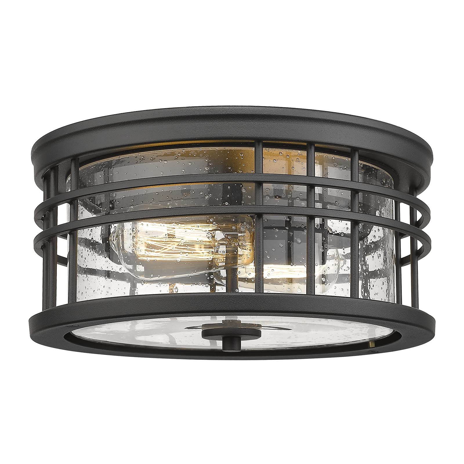 LTMATE LSZW01-F BK JAZAVA 2 -Light 12-in Matte Black Flush Mount Light