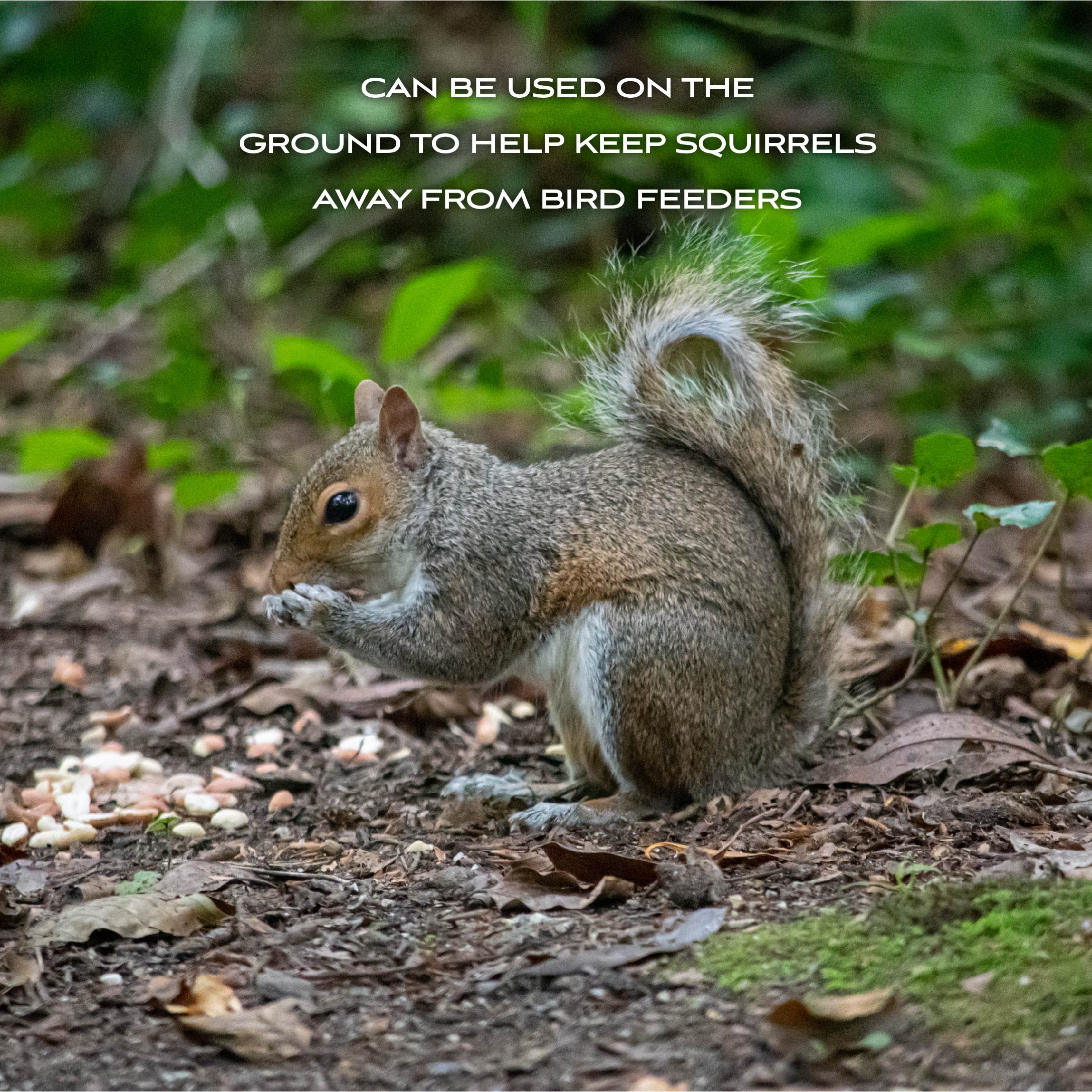 Pennington 100541089 Bird-Squirrel-Food - View #4