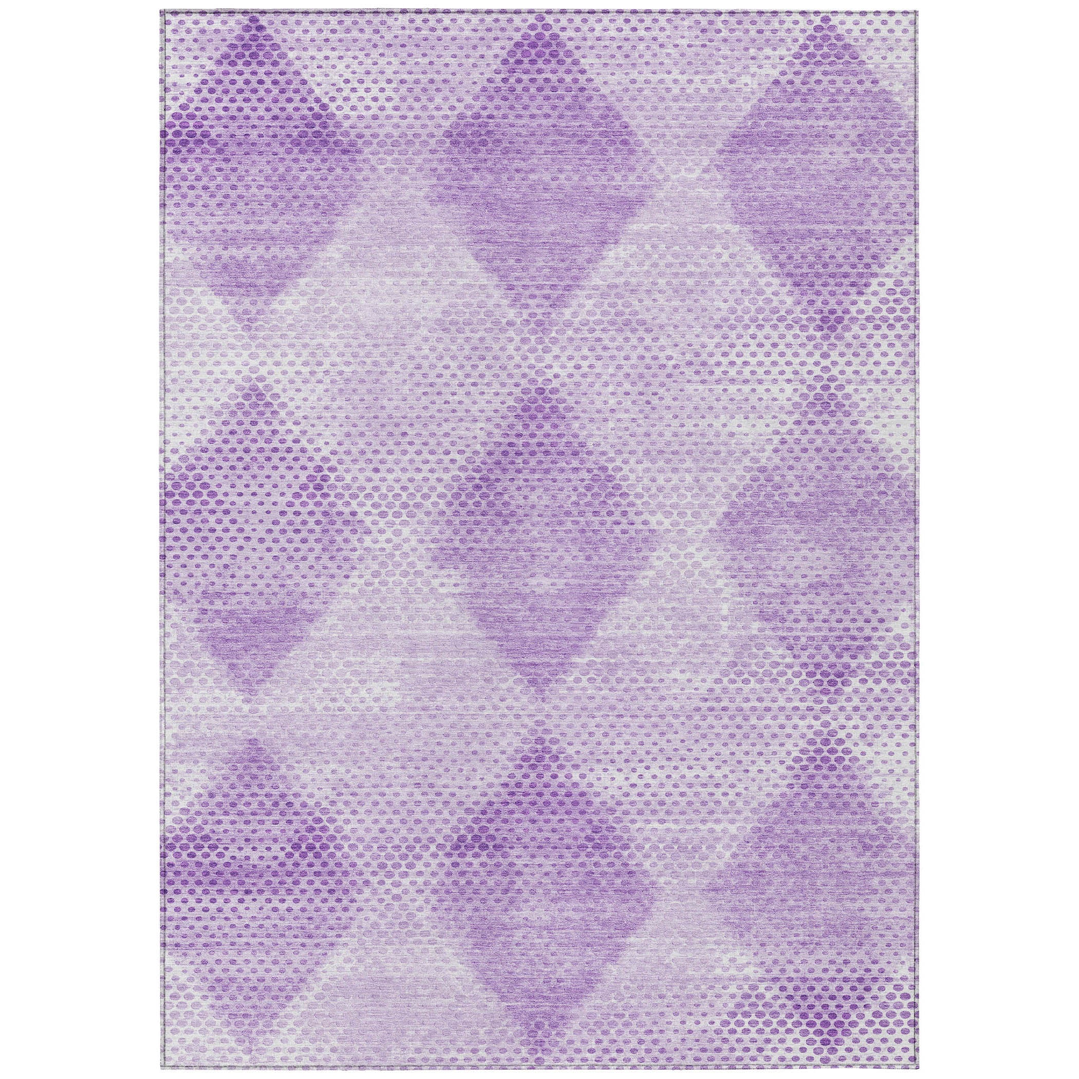 Addison Rugs ACN539LV30X46 rugs - View #2