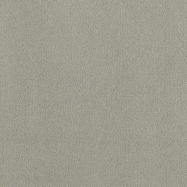 Mohawk Home & Office Sophisticated Look 30 Cloudy Day Textured Carpet Sample (Interior) Mohawk Home & Office Sophisticated Look 30 Cloudy Day Textured Carpet Sample (Interior)