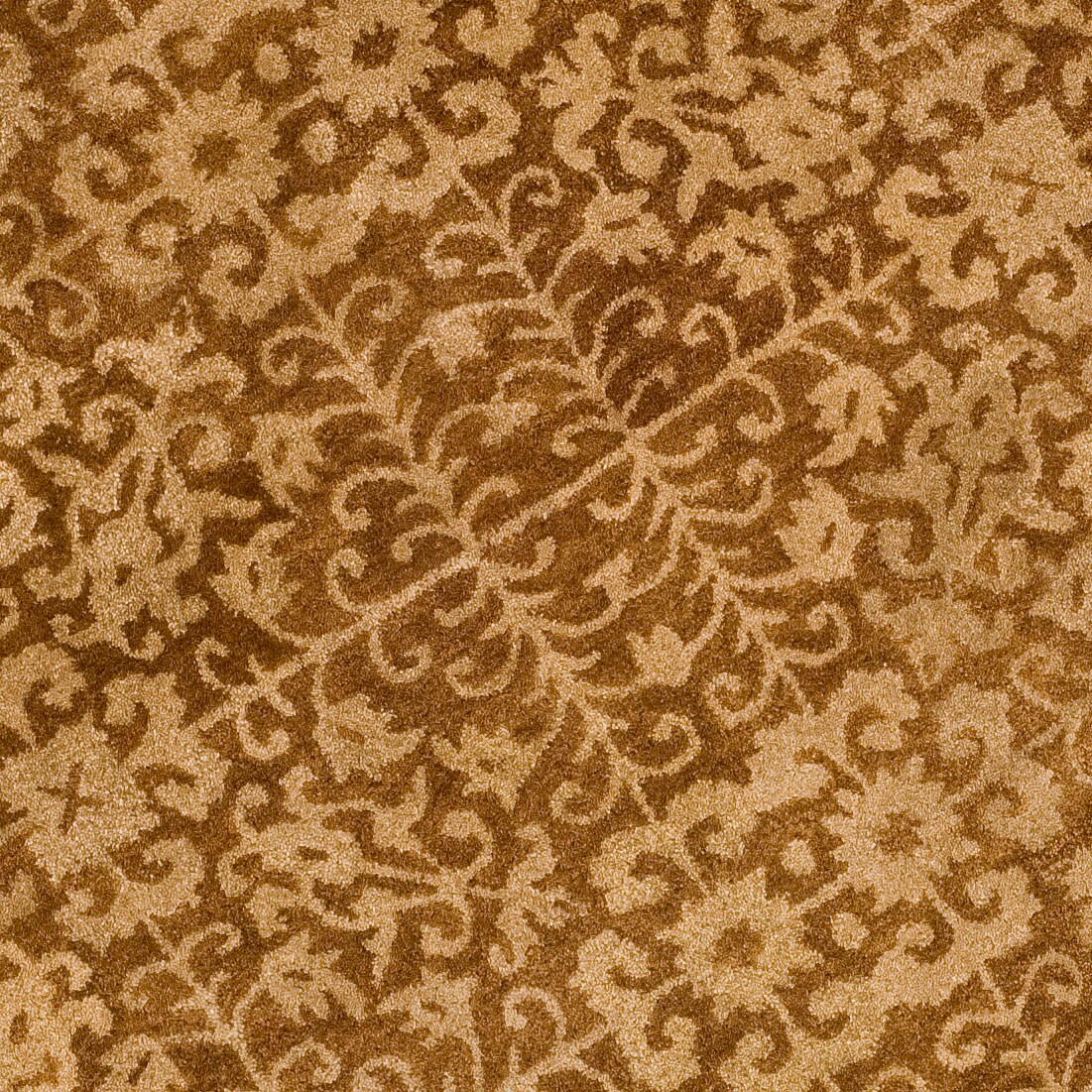 Safavieh AT411A-6R rugs - View #4