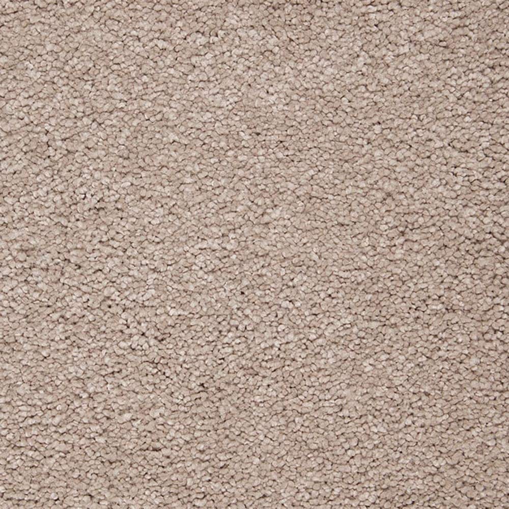 STAINMASTER PetProtect STP54-L009-0808 (Sample) Beau Dacious Clam Island Brown 48-oz sq yard Triexta Textured Indoor Carpet