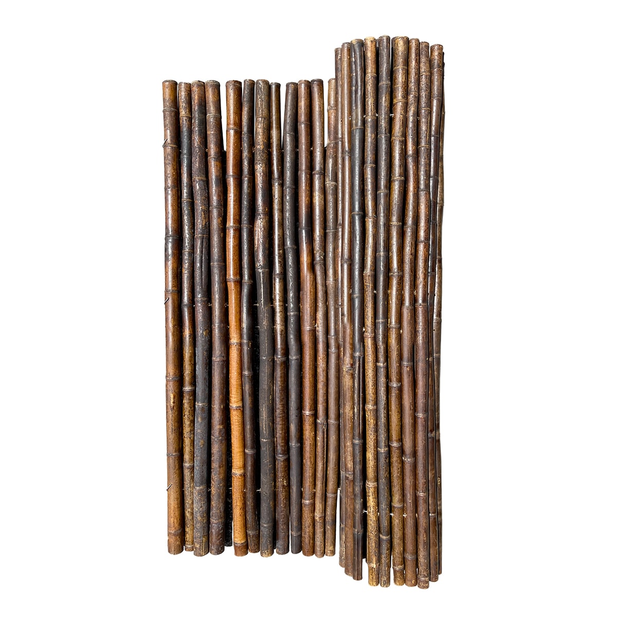 Bamboo Stalks — CaljavaOnline