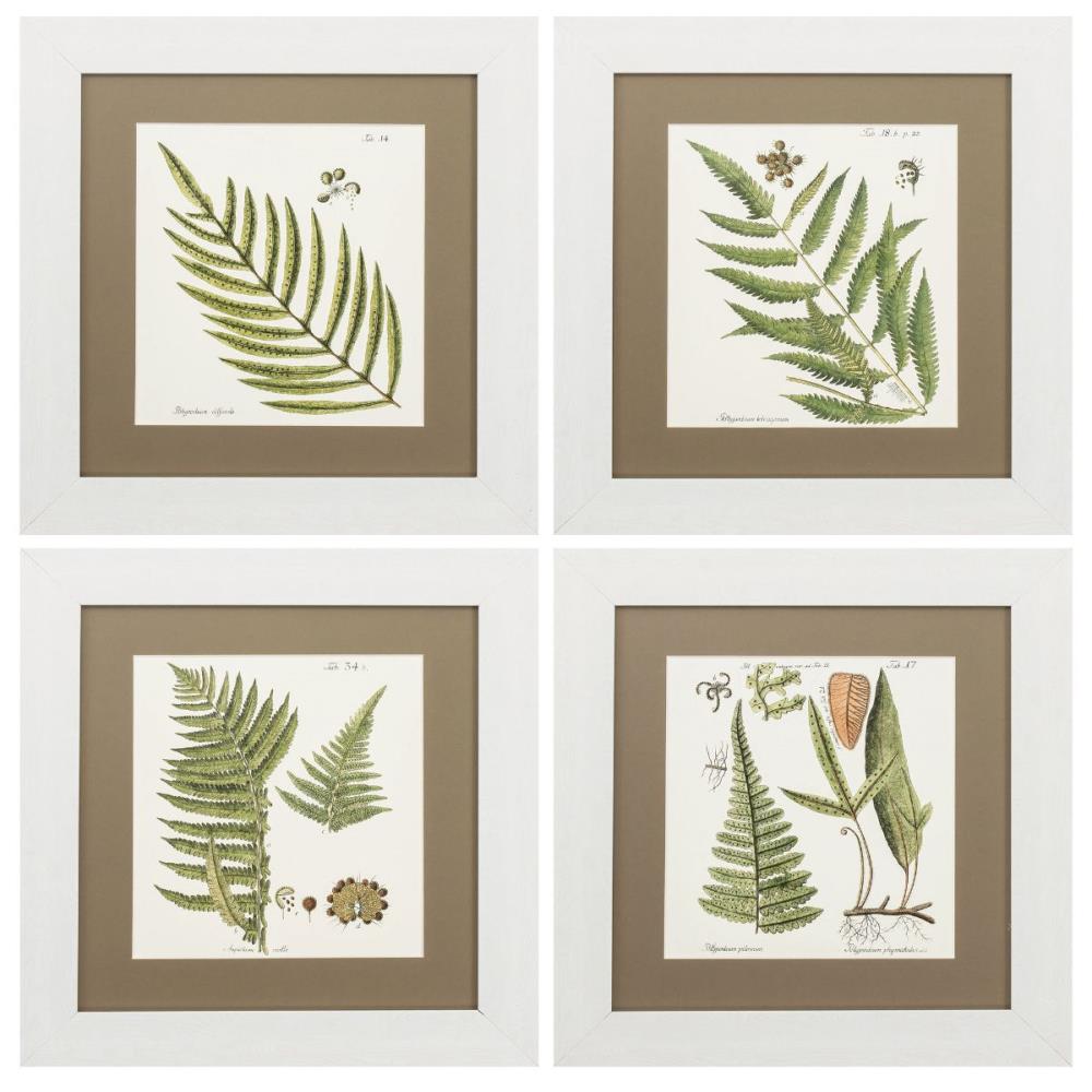 HomeRoots 16-in x 17-in White Frame Fern (Set of 4) at Lowes.com