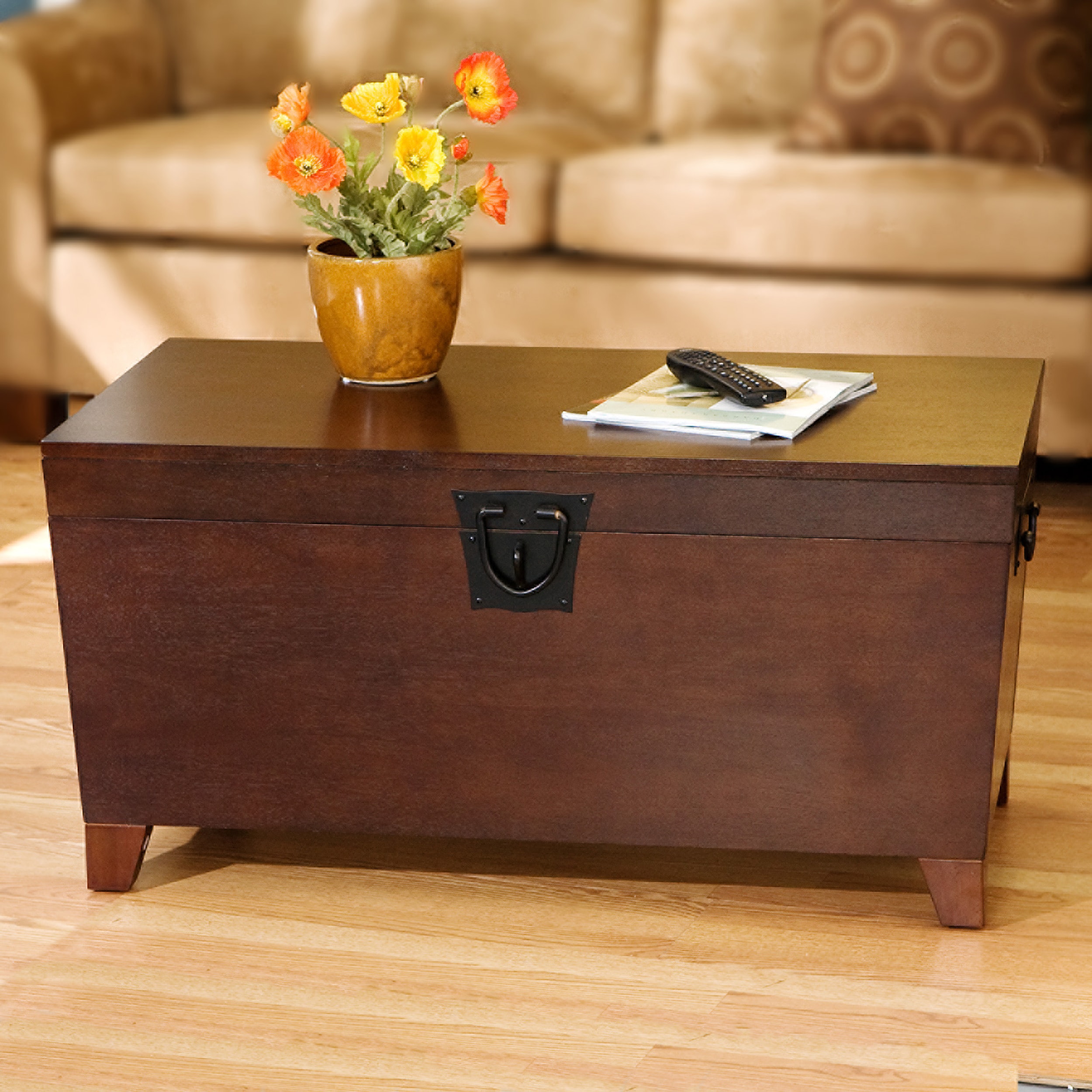 Safavieh CK2224 Pyramid Trunk Cocktail Table - Espresso