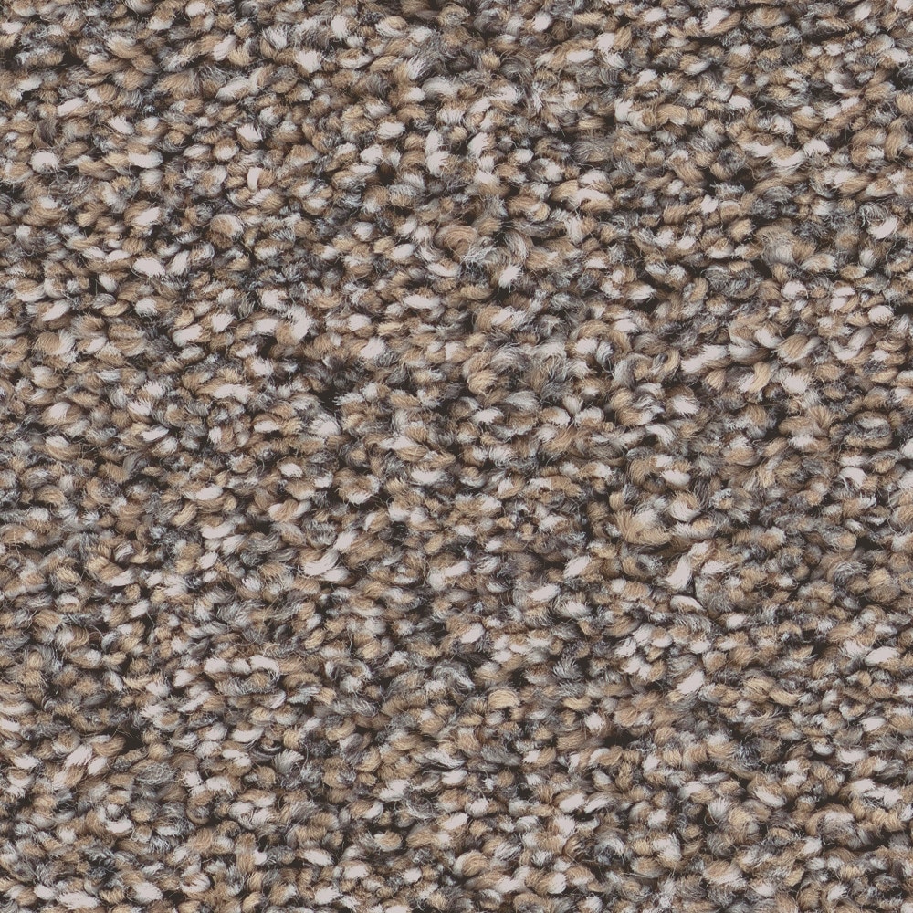 STAINMASTER PetProtect 7L941-148-SAMP (Sample) 8-in x 8-in with LeakDefense Animal Instincts II Sparrow Brown 53.6-oz sq yard High-performance polyester Textured Indoor Carpet