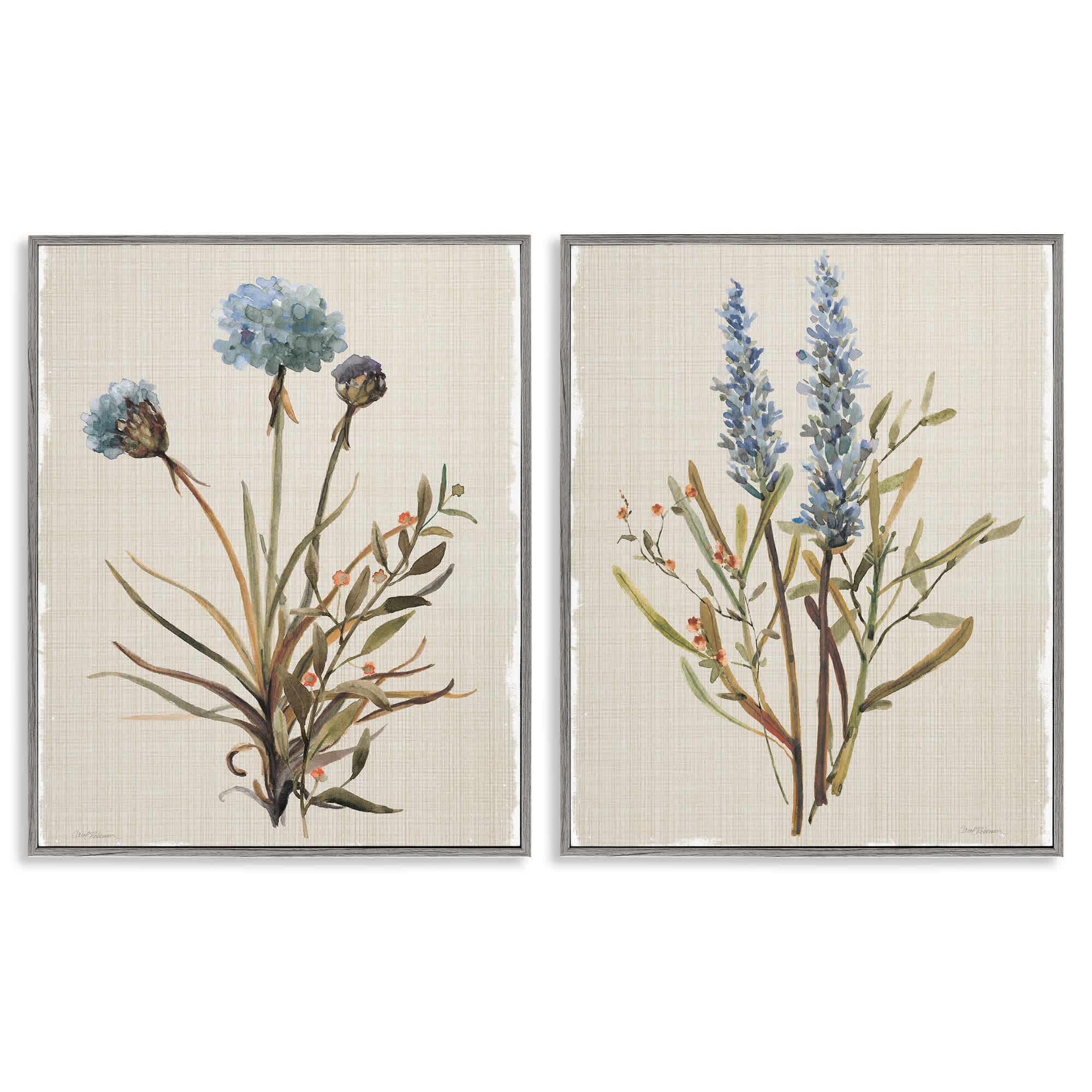 Stupell Industries B2-748-GFF-2PC-24X30 Natural Budding Blooms 2 Piece Gray Framed Giclee Art Set By Carol Robinson 24 x 30