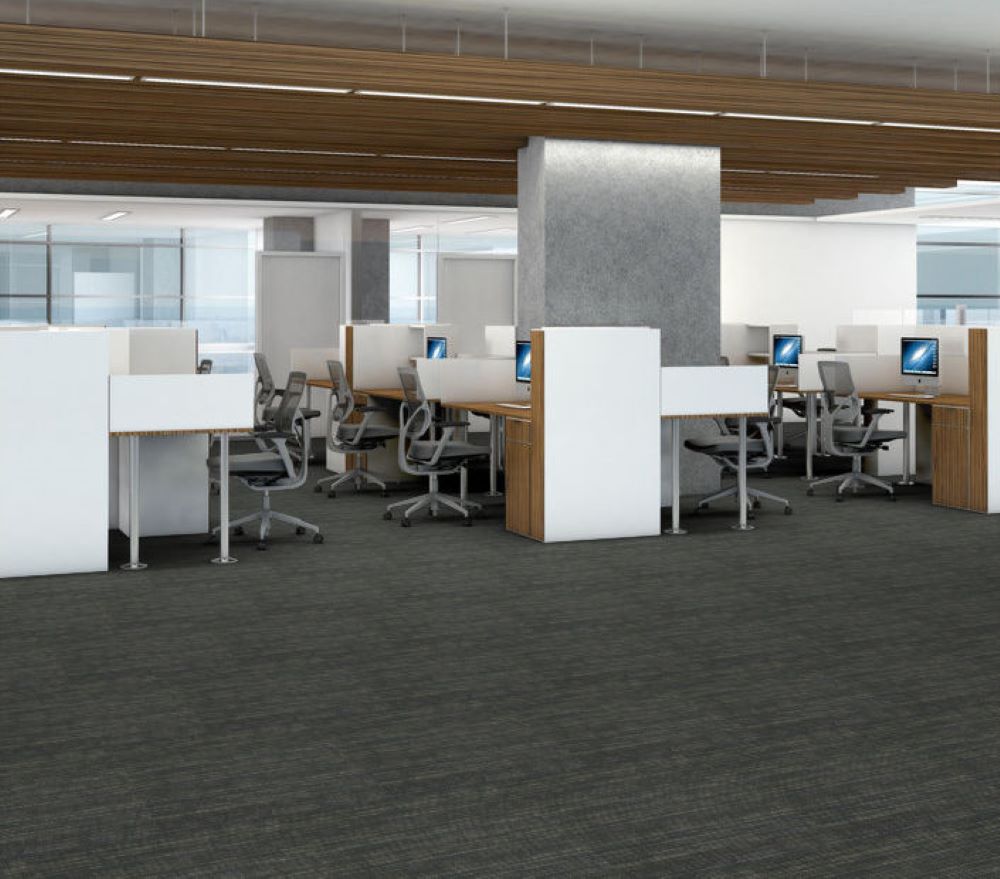 Shaw 7P0UX00595 Carpet-Tile - View #2