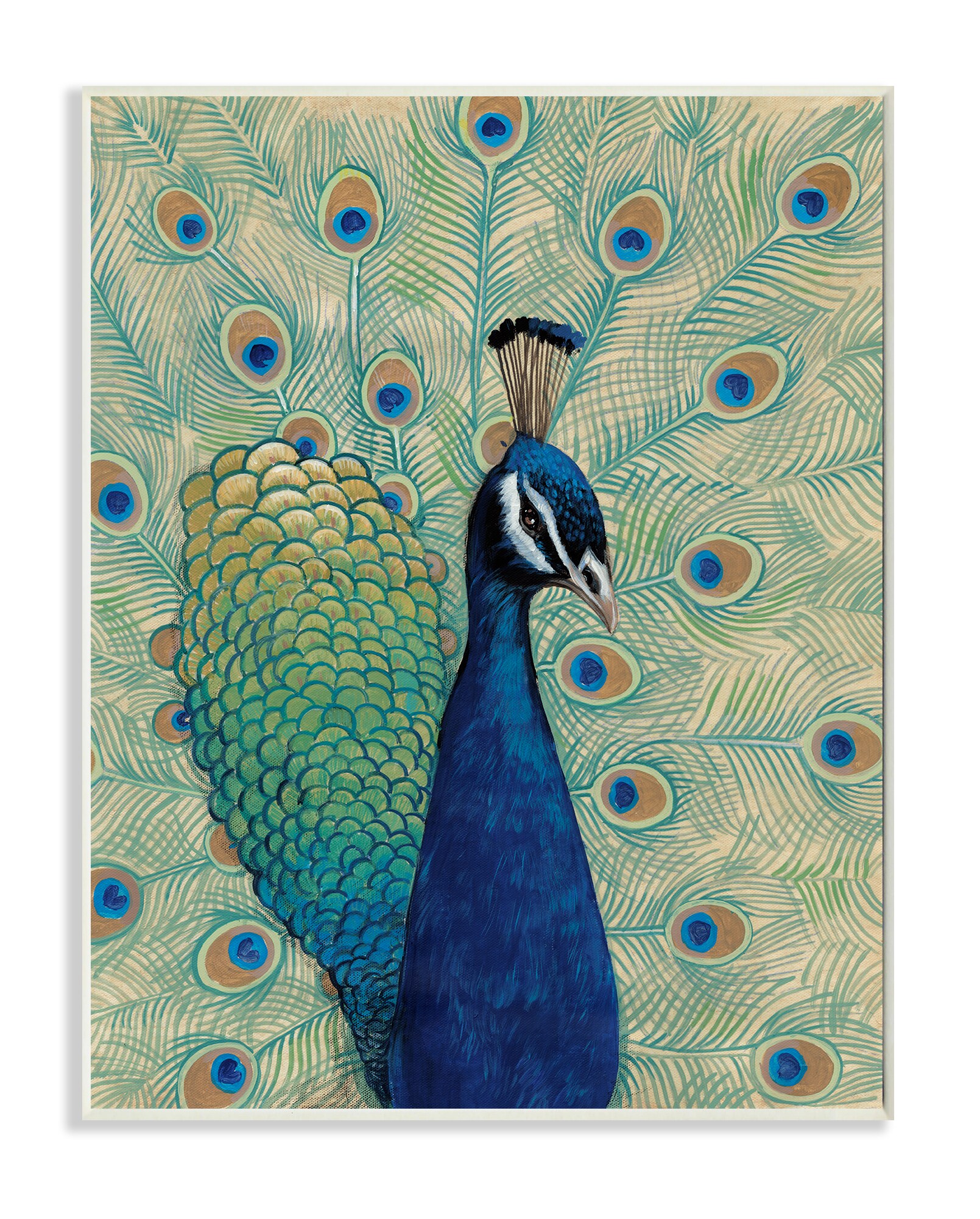 Stupell Industries Blue Peacock Looking Right Unknown Artist 15-in H x ...