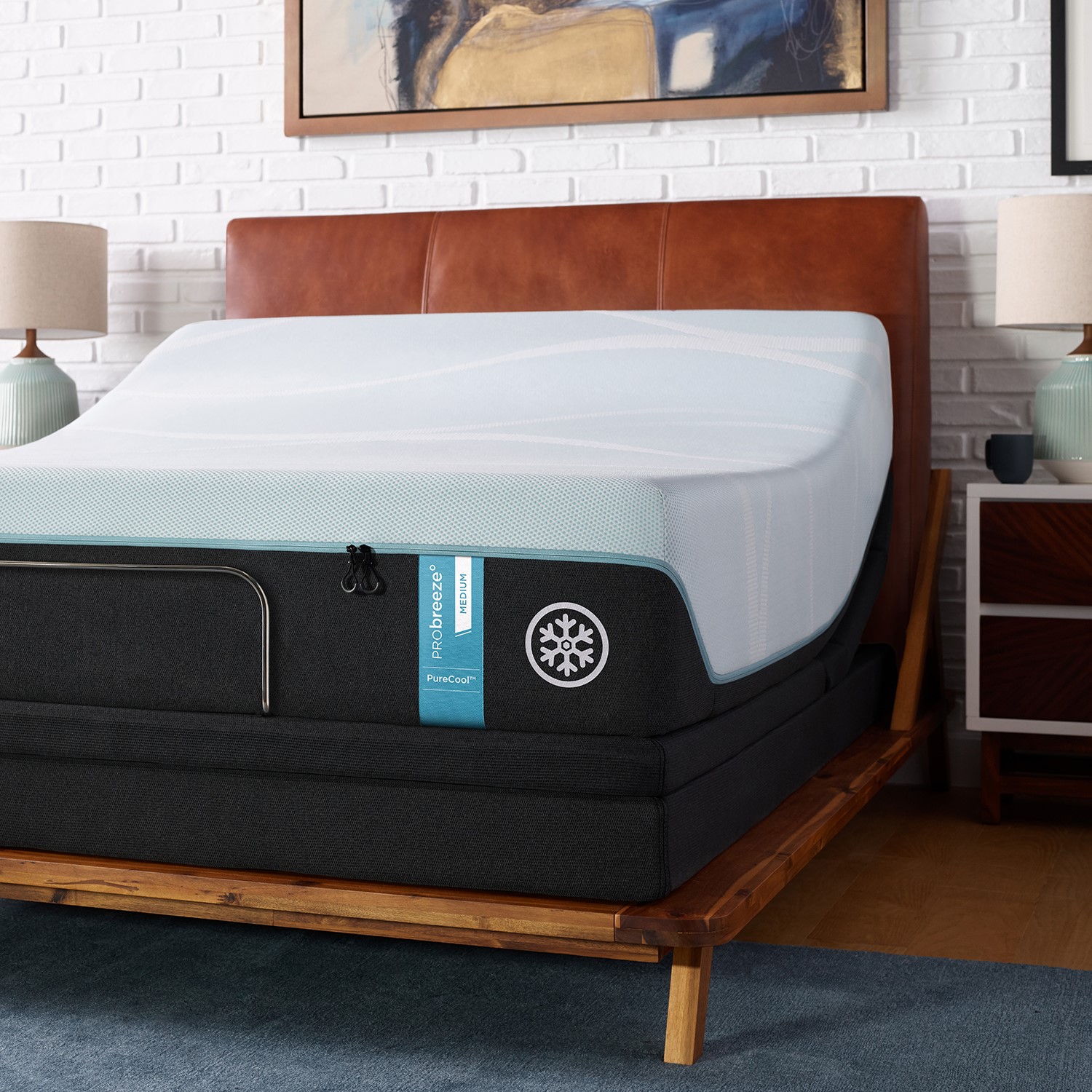 TEMPUR-PEDIC 25552131 beds - View #3