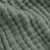 Fern