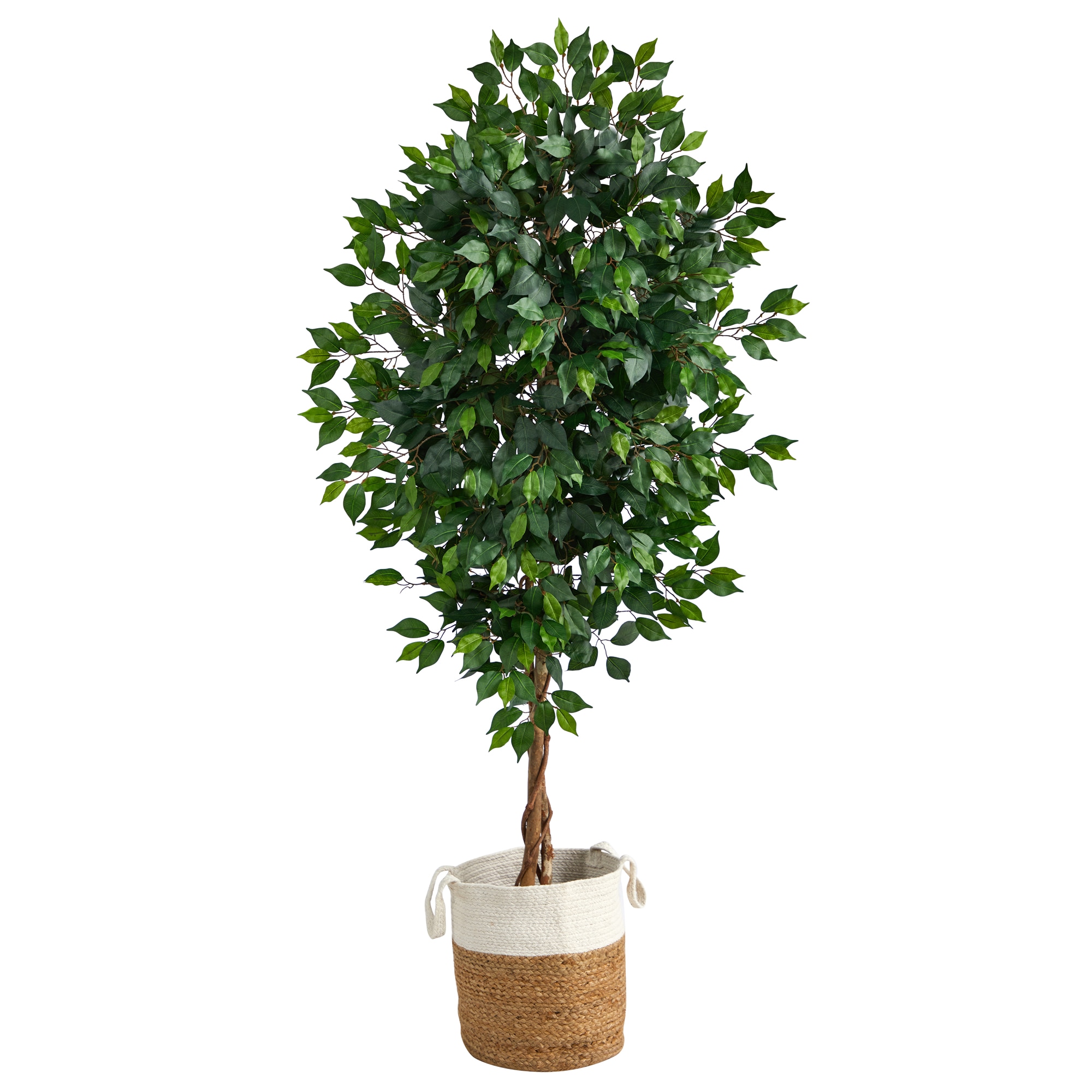 LCG 72-in Green Indoor Artificial Ficus Artificial Tree in the Artificial  Plants & Flowers department at