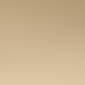 Champagne Gold
