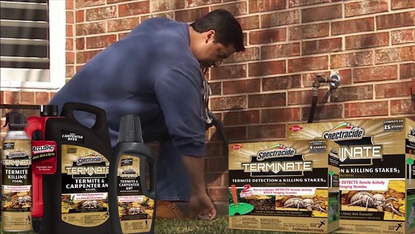 A thumbnail for the video