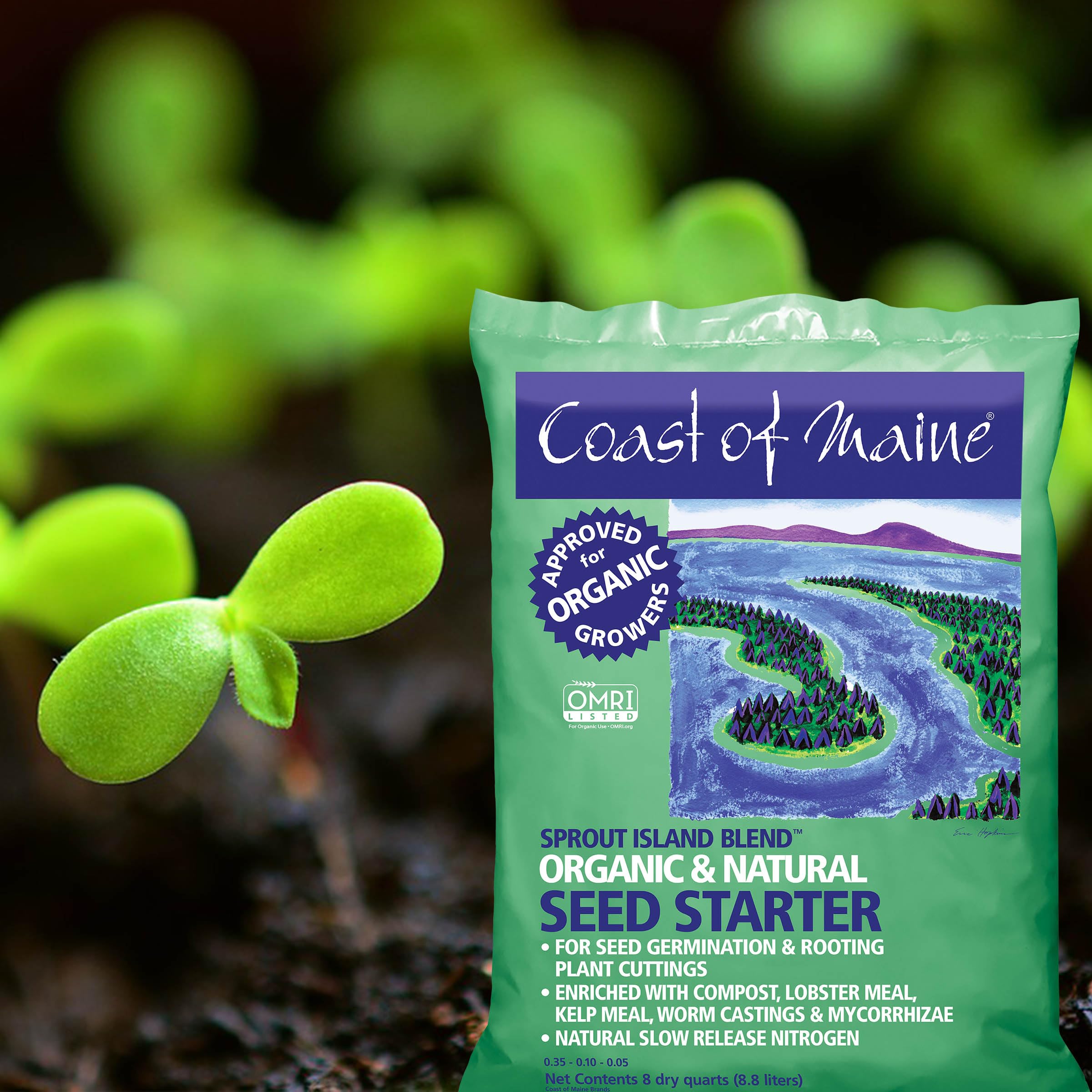 Coast of Maine (8qt) Sprout Island Blend Organic Natural Seed Starter for  Seed Germination Root Plant Cuttings in the Seed Starters department at  Lowes.com
