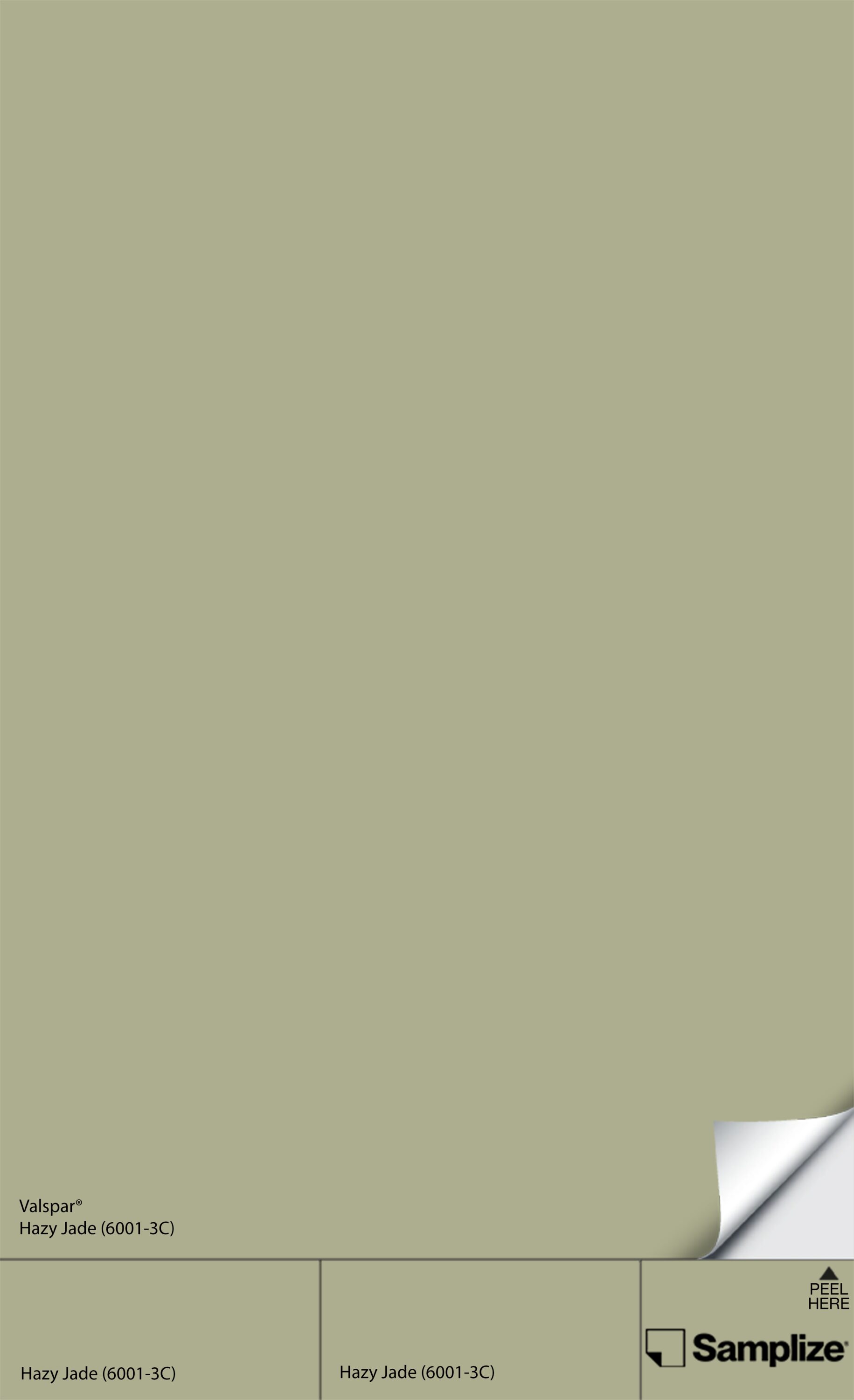 Samplize V-(6001-3C)-12 Hazy Jade 6001-3c Peel and Stick Paint Sample (9-in x 14-3/4-in)