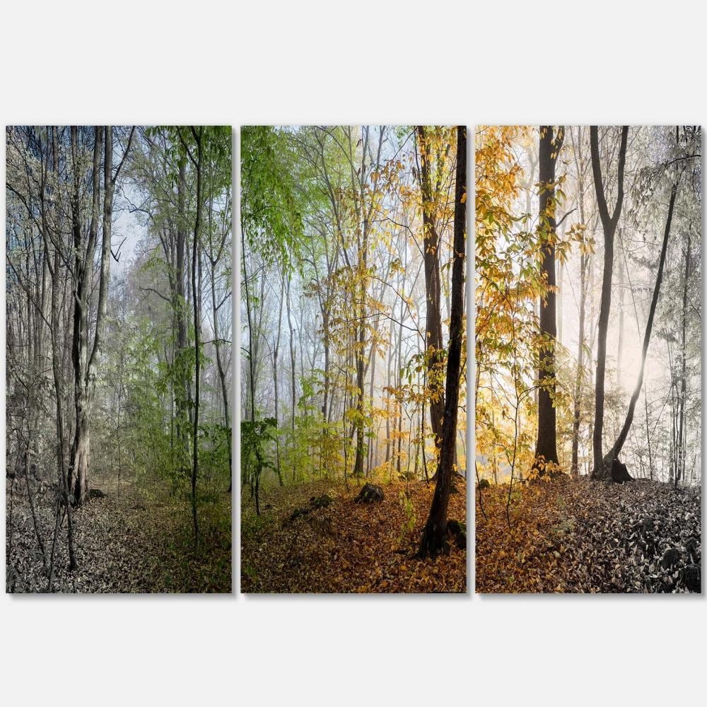 Designart PT8171-3P 28-Inches H x 36-Inches W Landscape Canvas Print