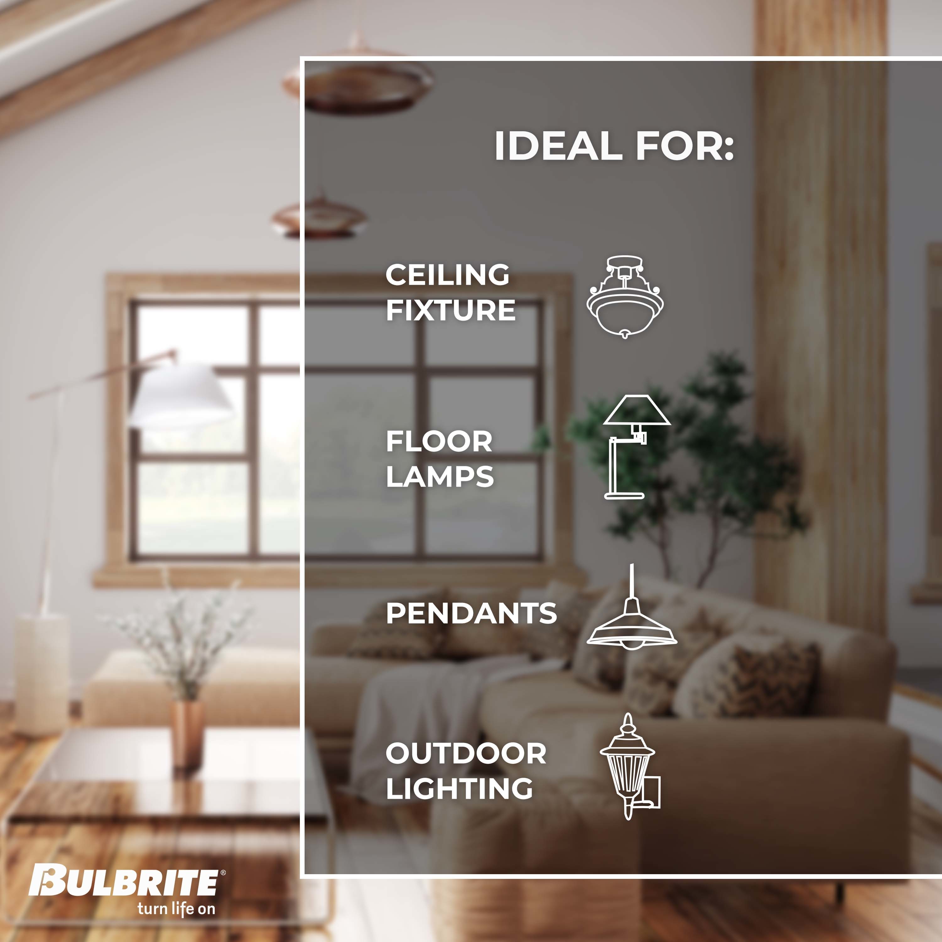 Bulbrite 776316 Dec-Led-Light-Bulbs - View #5