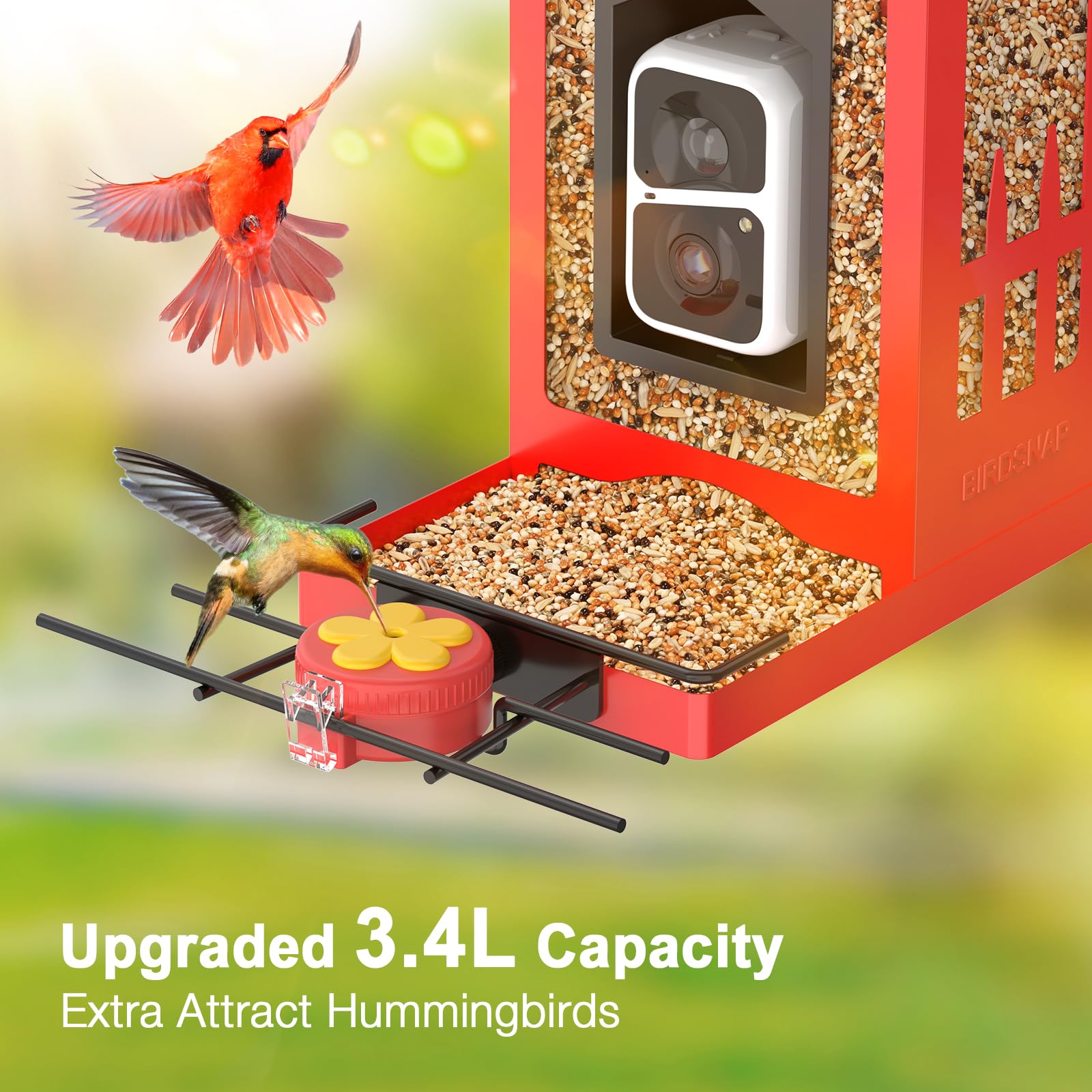 Berdz APS100 Bird-Feeders - View #3