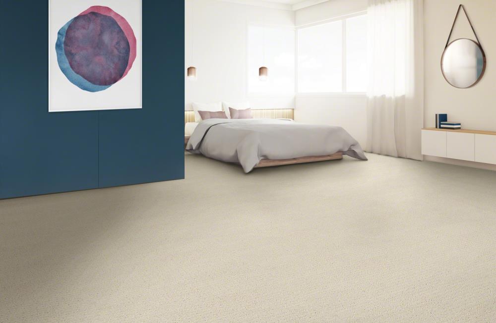 STAINMASTER 7L77000172 Carpet-Panel - View #5