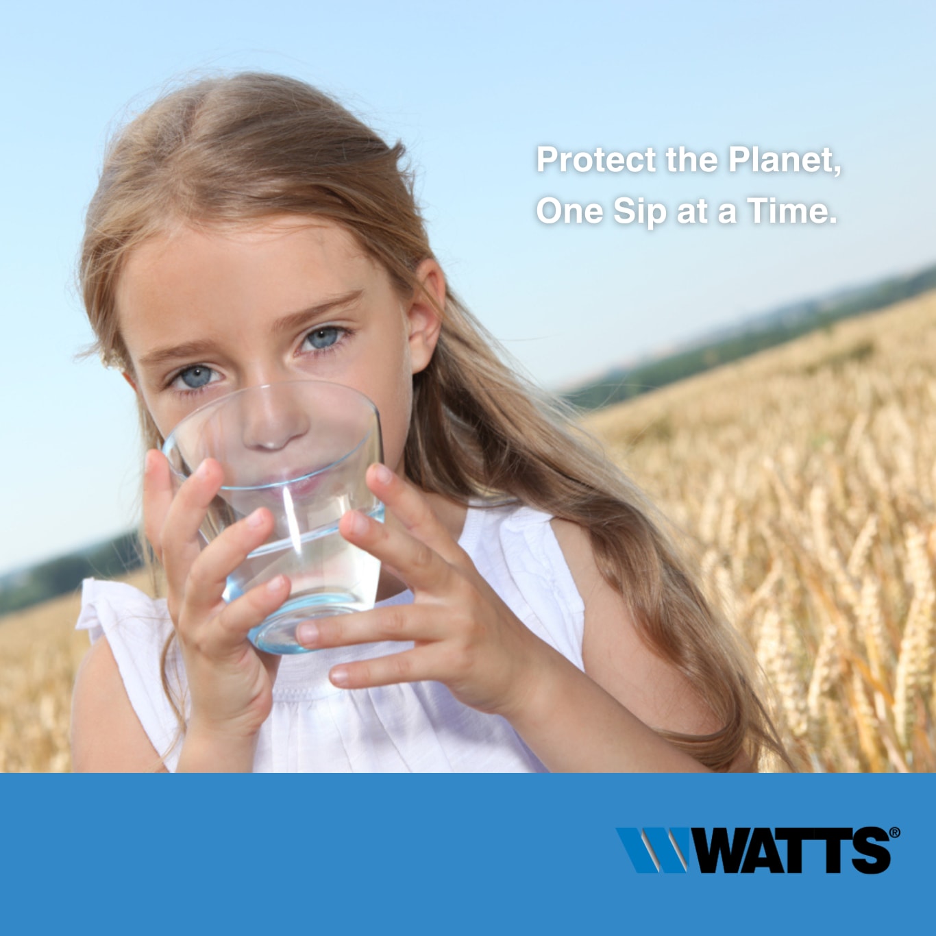 Watts H2O-DWGC101 Under-Sink-Filtration-Systems - View #5