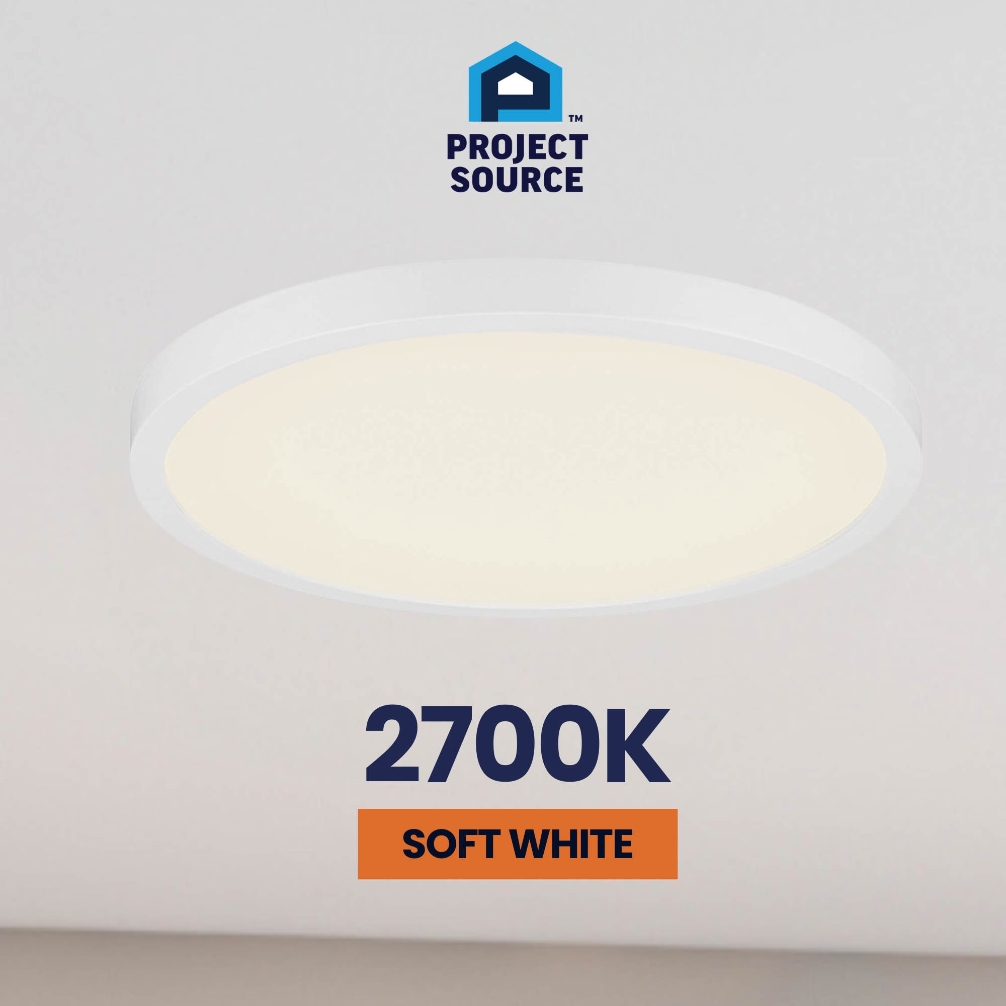 Project Source 43544 flushmounts - View #10