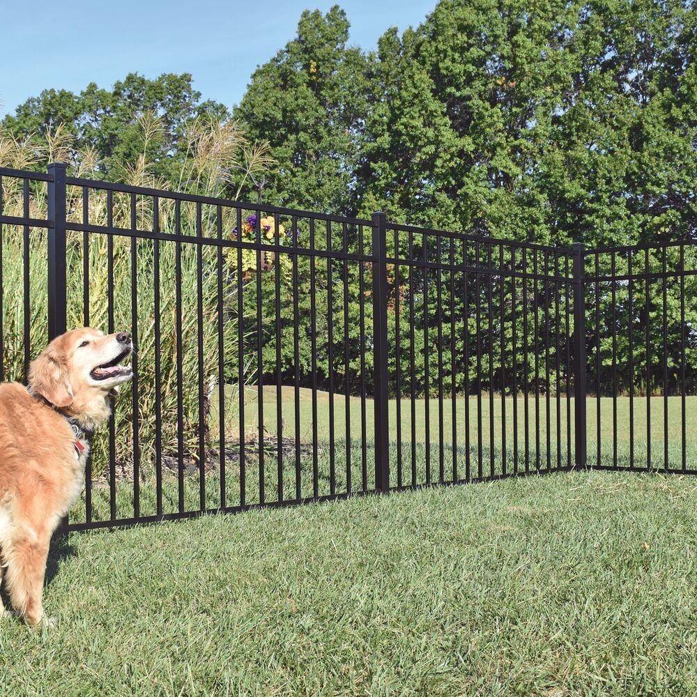 Freedom New Haven 4-1/2-ft H x 6-ft W Black Aluminum Spaced Picket Flat-top  Decorative Fence Panel in the Metal Fencing department at