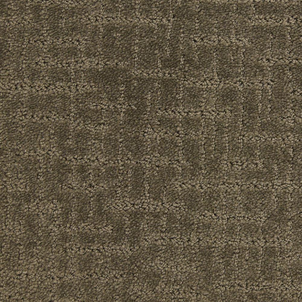 STAINMASTER PetProtect Charmed Ambient Pattern Carpet (Indoor) in the ...