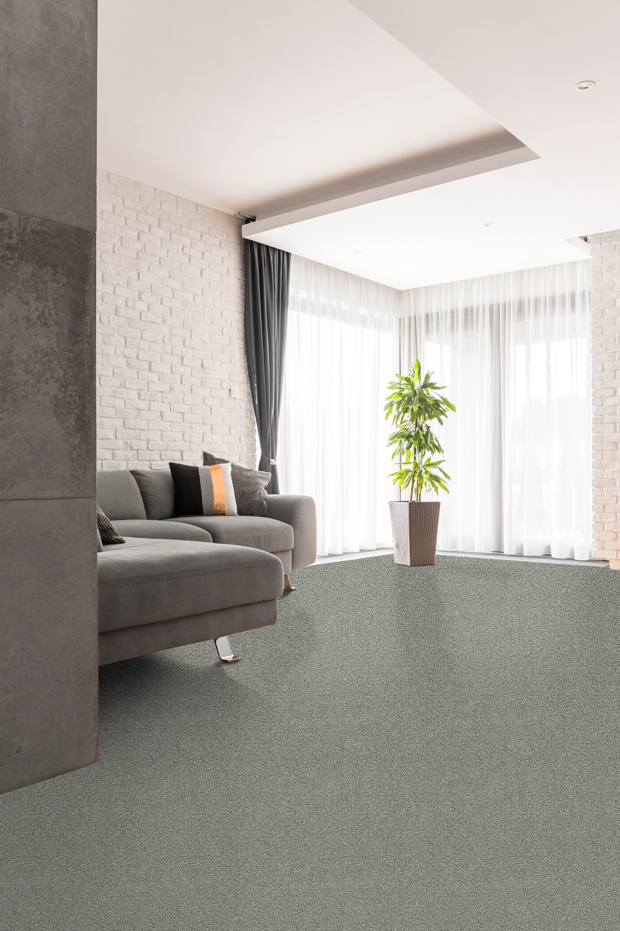 STAINMASTER L3009-704-0808 Carpet-Samples - View #2