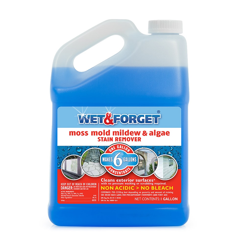 Wet and Forget 1-Gallon Multi-surface Concentrated Outdoor Cleaner in the  Outdoor Cleaners department at