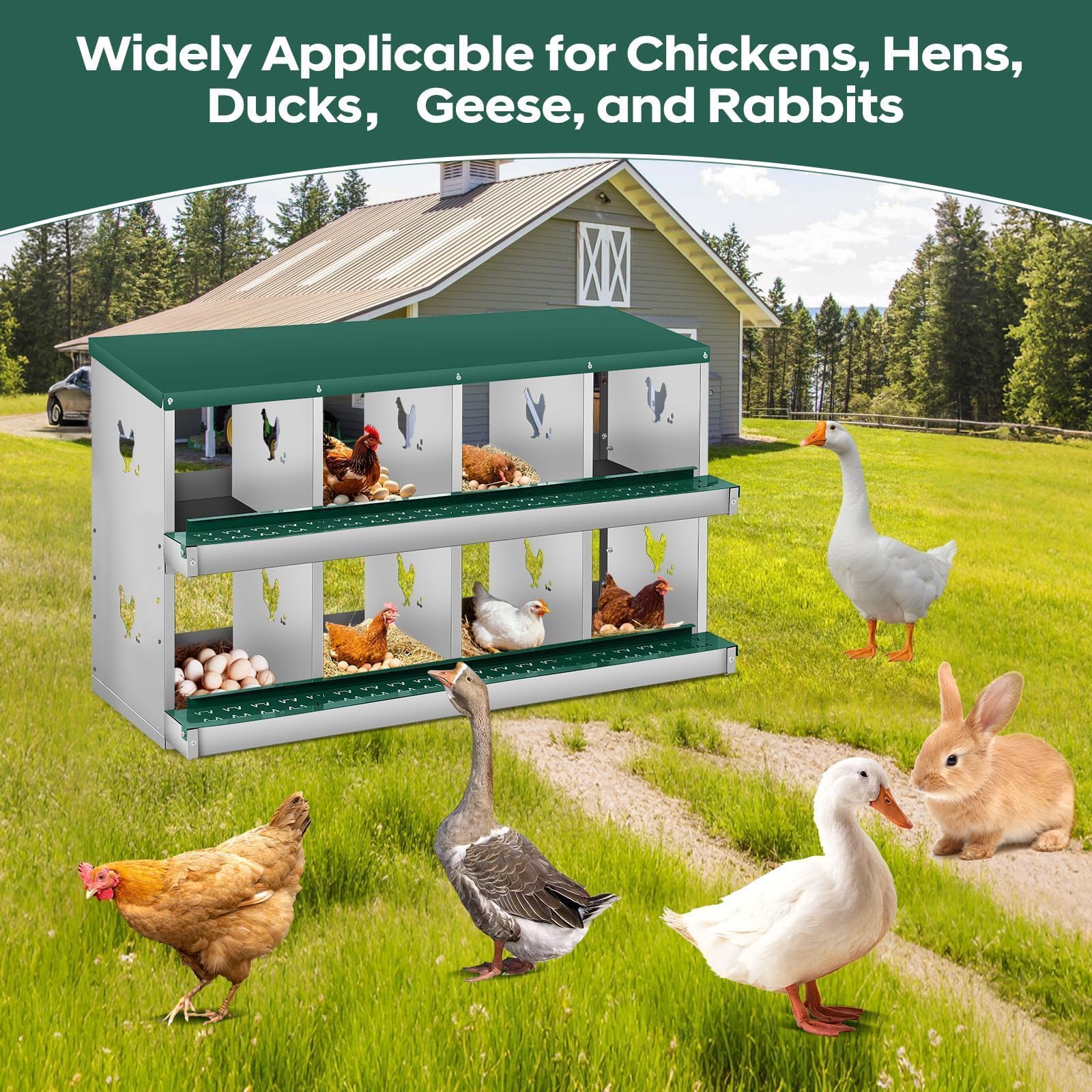 DEXSO ENCOREPPGBA11310 Chicken-Coops-Rabbit-Hutches - View #3