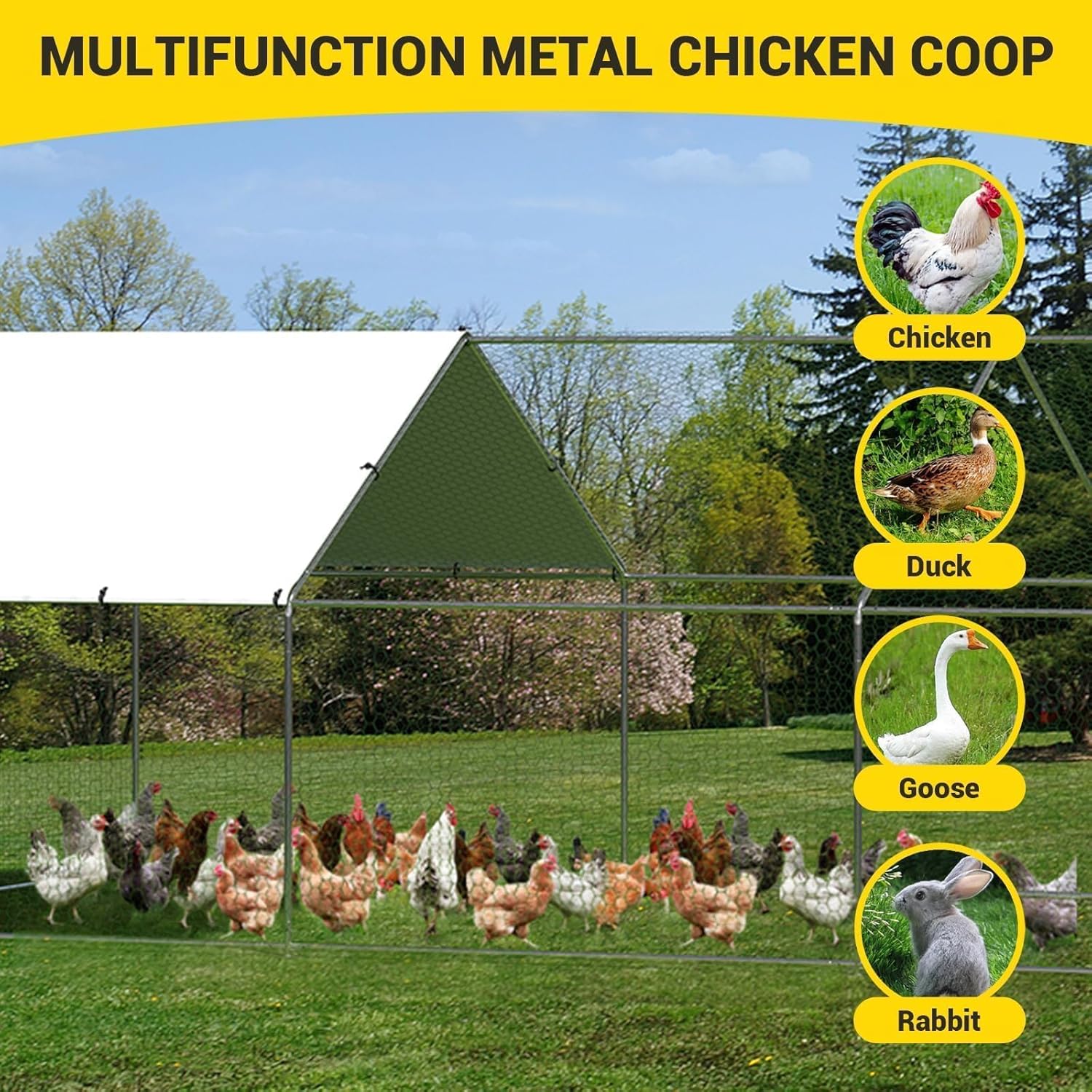 Qeetex GGL-PPG-33389XCH Chicken-Coops-Rabbit-Hutches - View #3