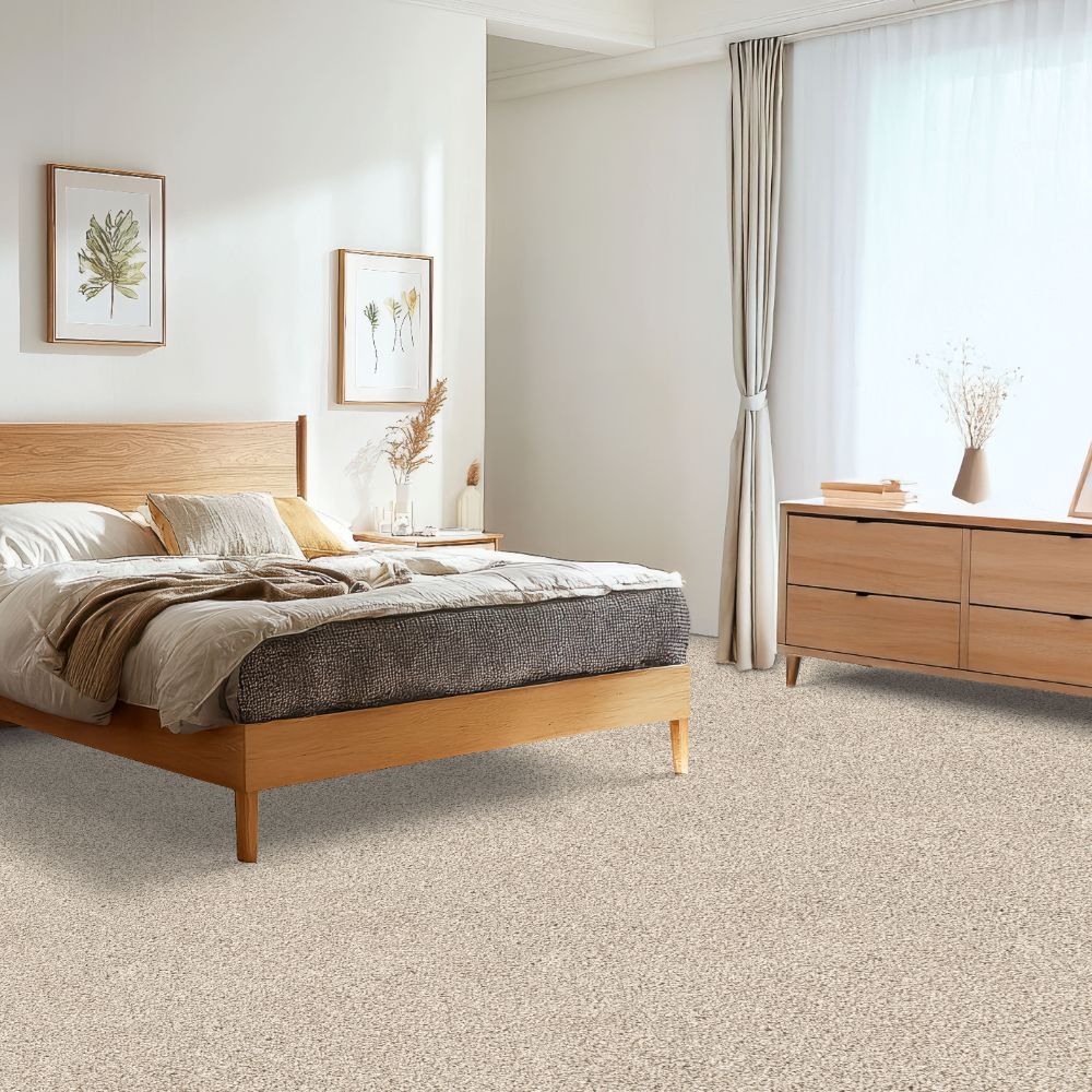 STAINMASTER SS046-L001-S0808 Carpet-Samples - View #2