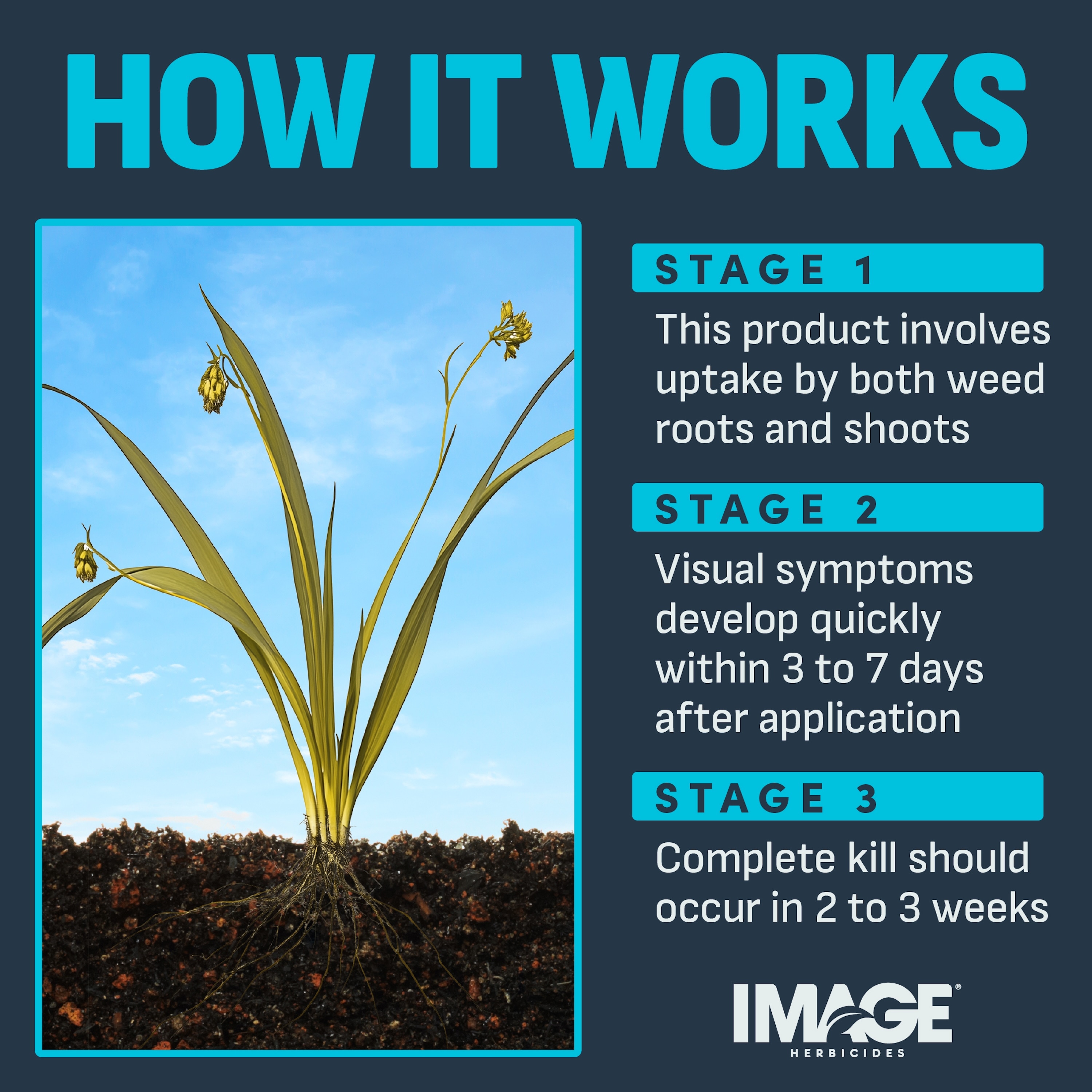 IMAGE 1357600691 Weed-Killers - View #8
