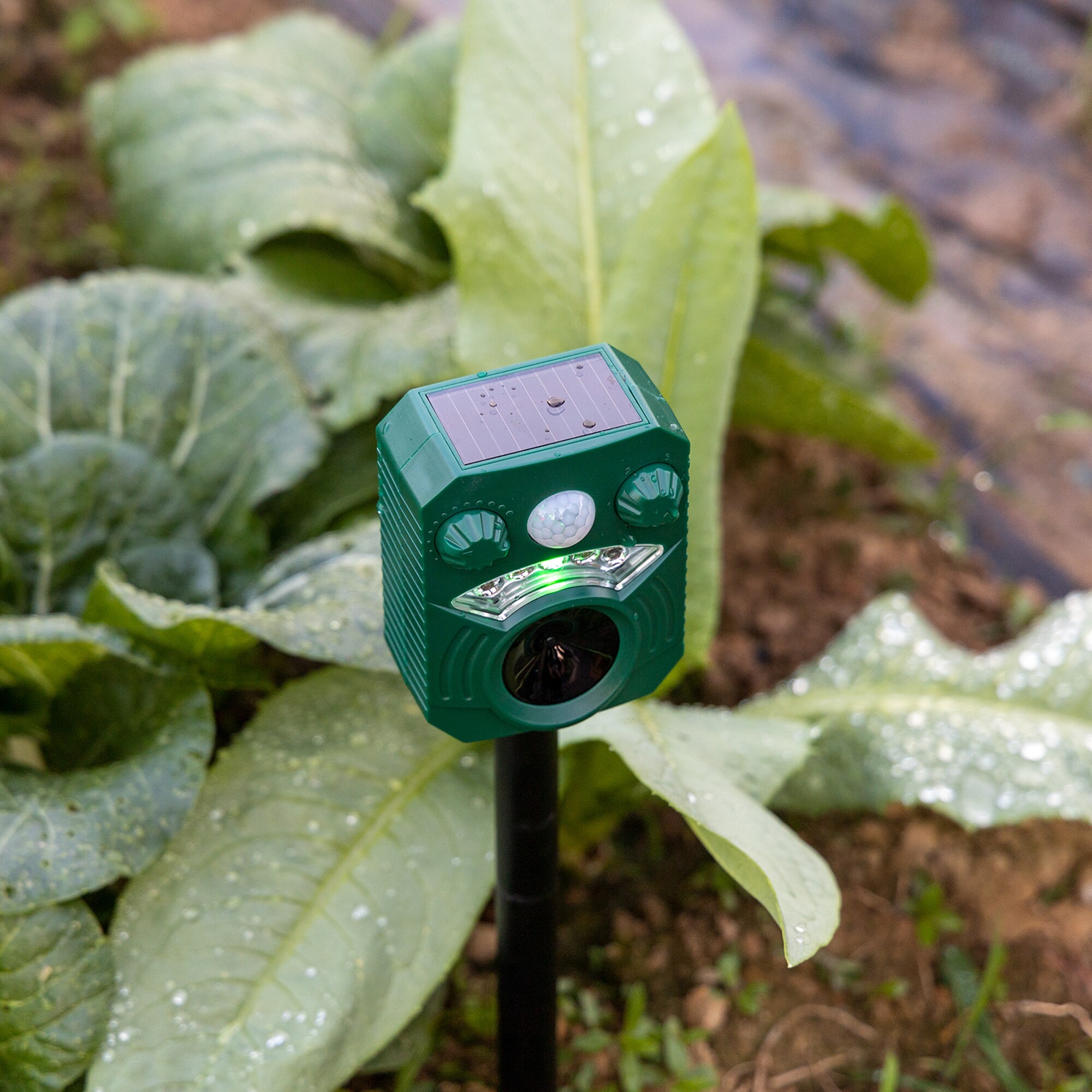 Gaierptone CRXIYGD36UI Animal-Rodent-Control - View #9