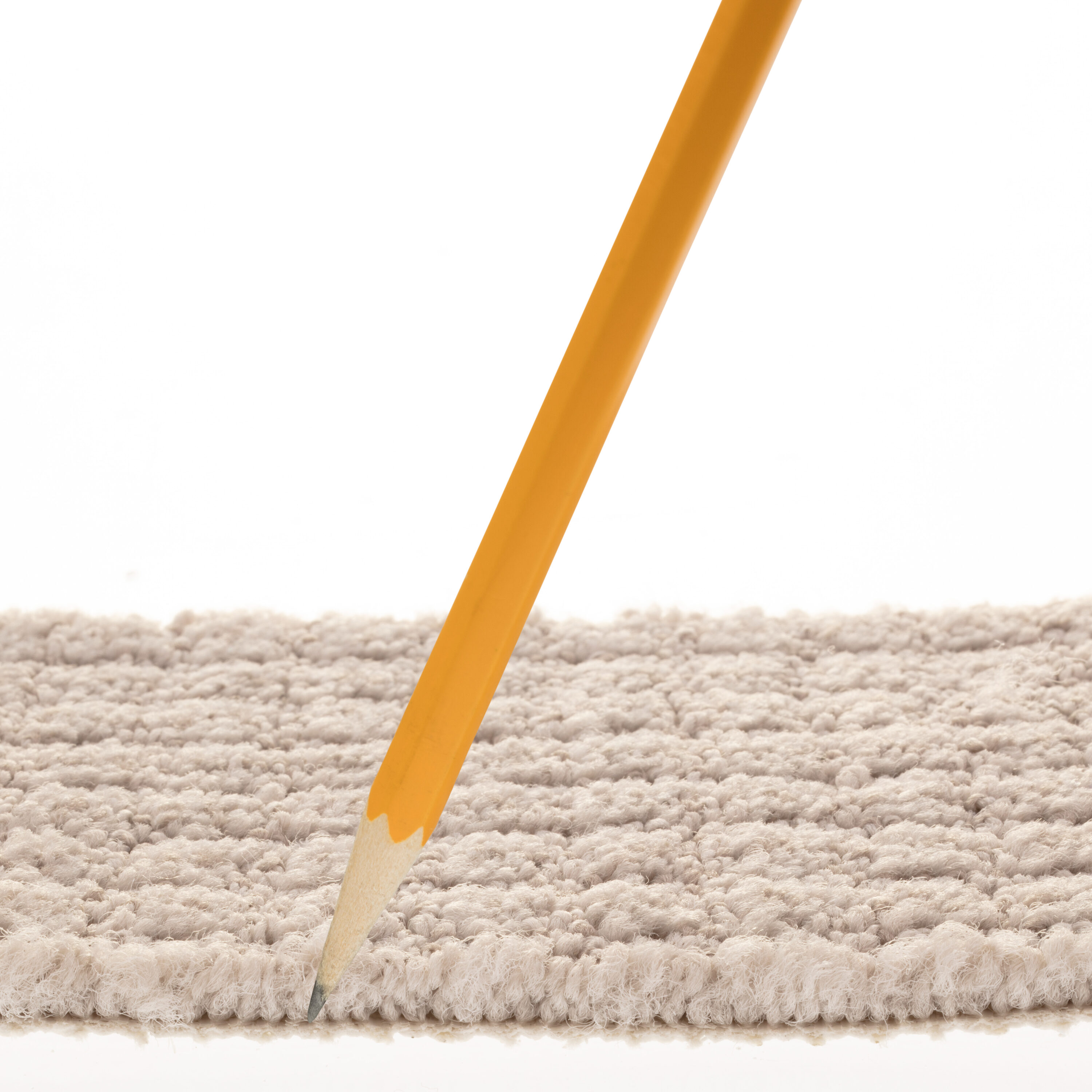 STAINMASTER PetProtect 7L885 - 502 - SAMP Carpet-Samples - View #7