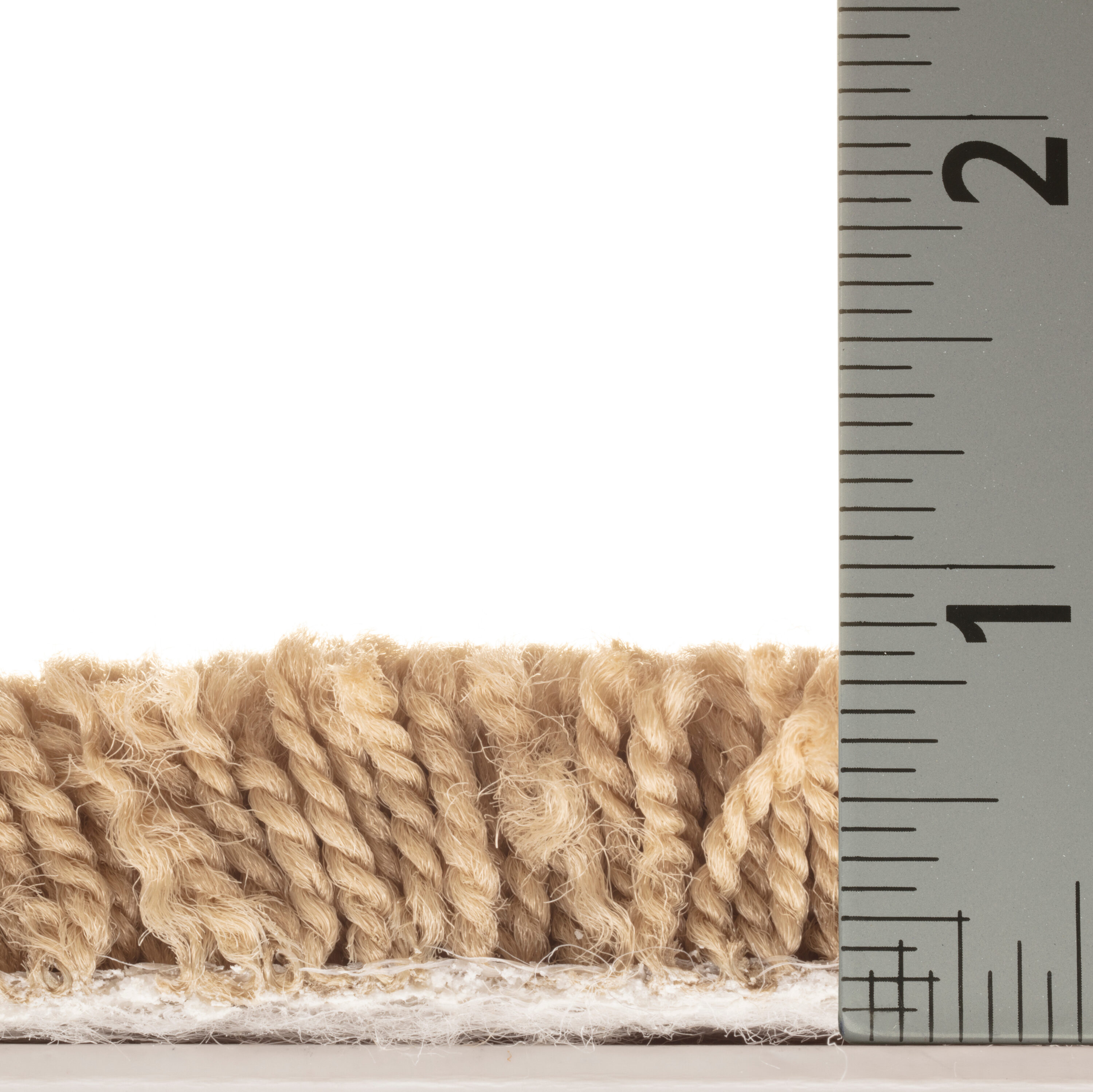 STAINMASTER PetProtect 7L88100700 Carpet-Panel - View #6